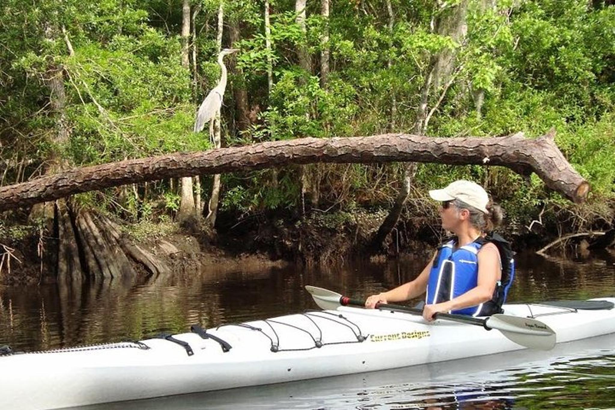Amelia Island Kayak Rental on Lofton Creek