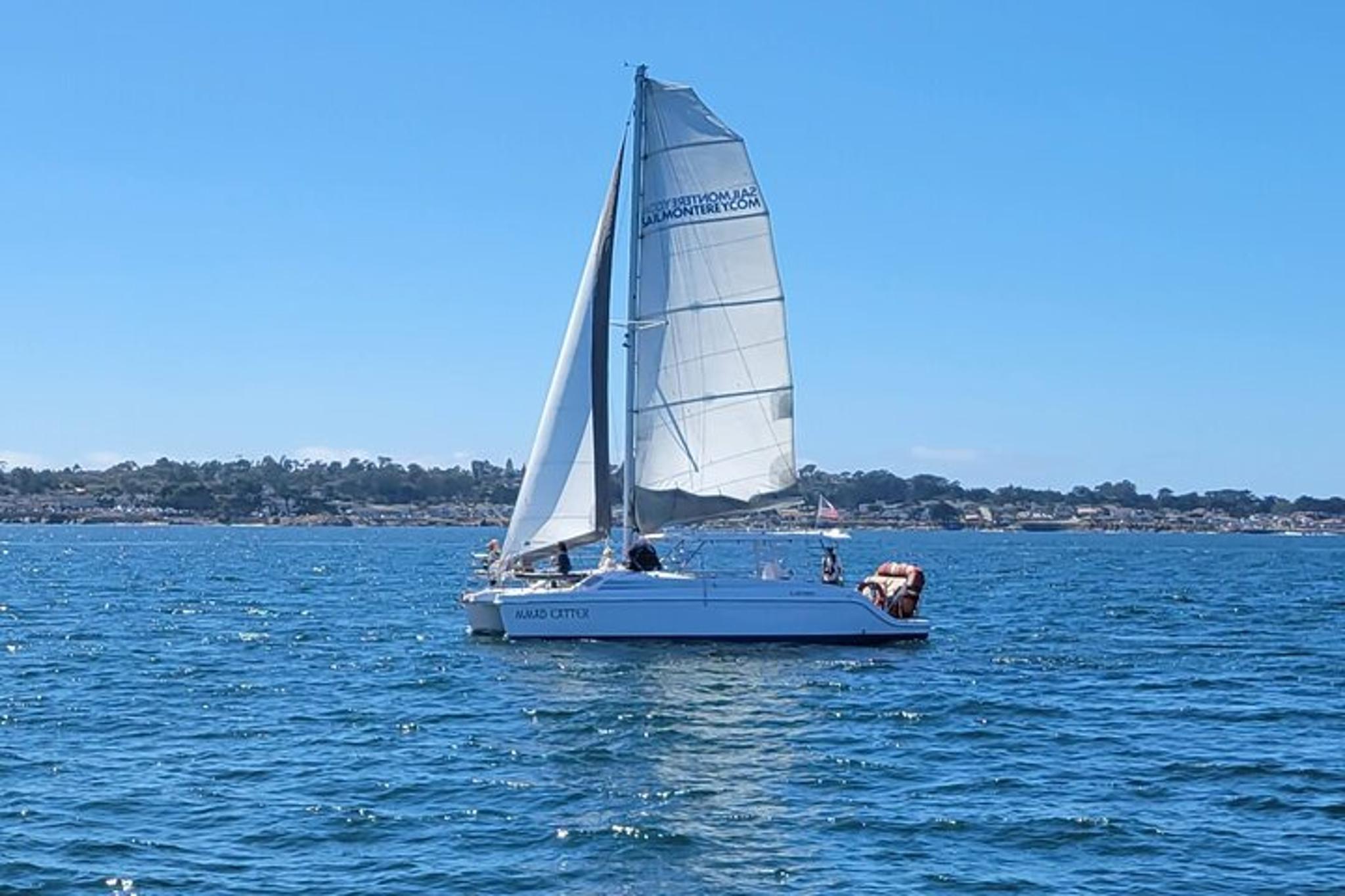 Monterey Bay Sailing Cruise at Sunset - Image 6