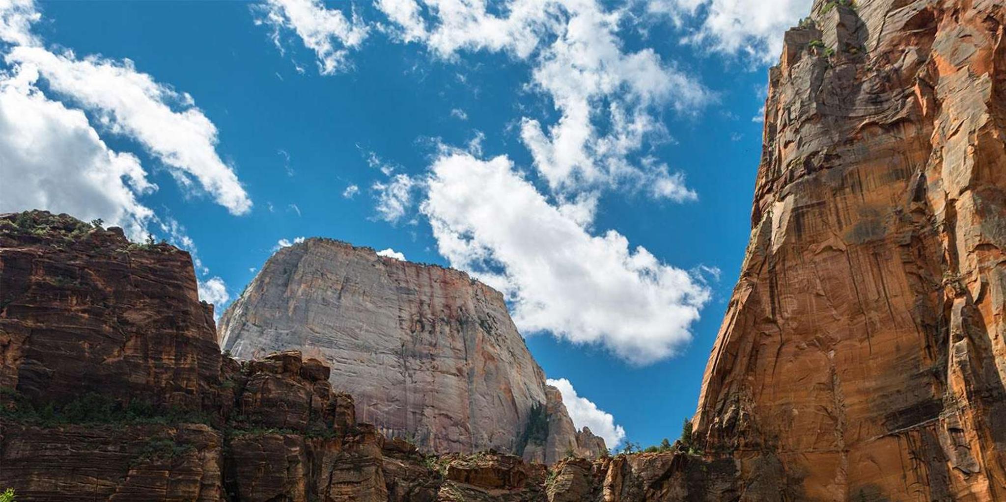 Las Vegas Zion National Park Guided Tour with Lunch - Image 4