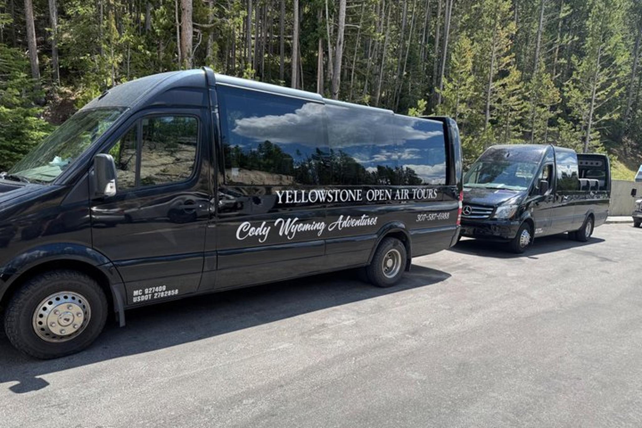 Yellowstone Glass Top Van Tour with Lunch - Image 5
