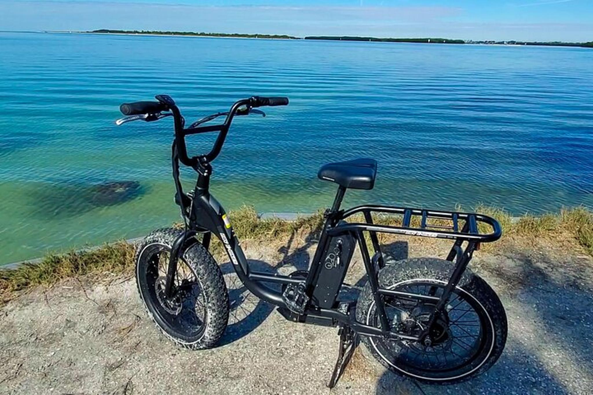 Fort De Soto Electric Bike Wildlife & History Tour - Image 6