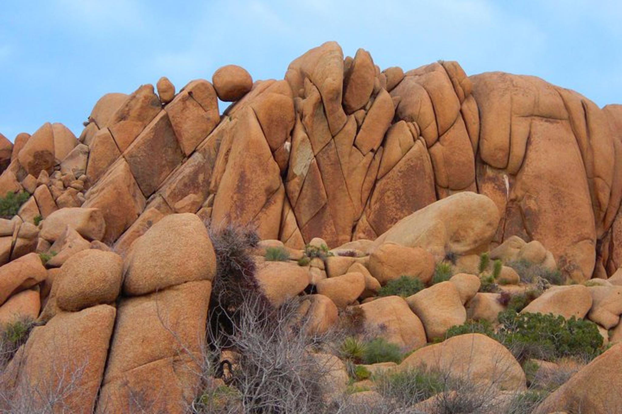 Joshua Tree National Park Scenic Tour - Image 1