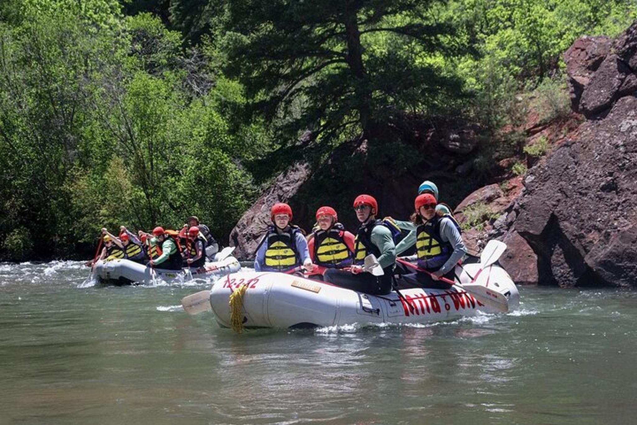 Telluride Rafting Trip San Miguel River 2.5 hr - Image 5
