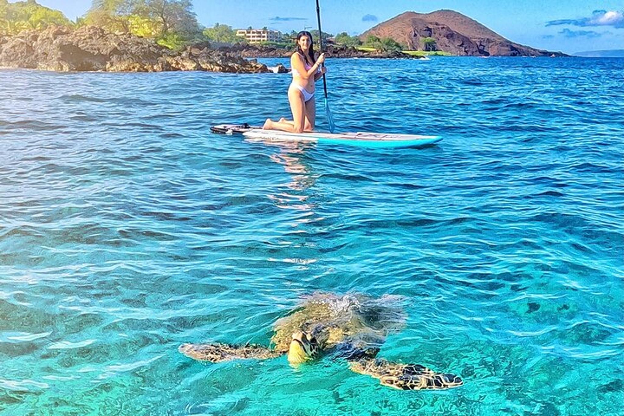 Maui Stand Up Paddle Boarding Tour in Turtle Town - Image 3