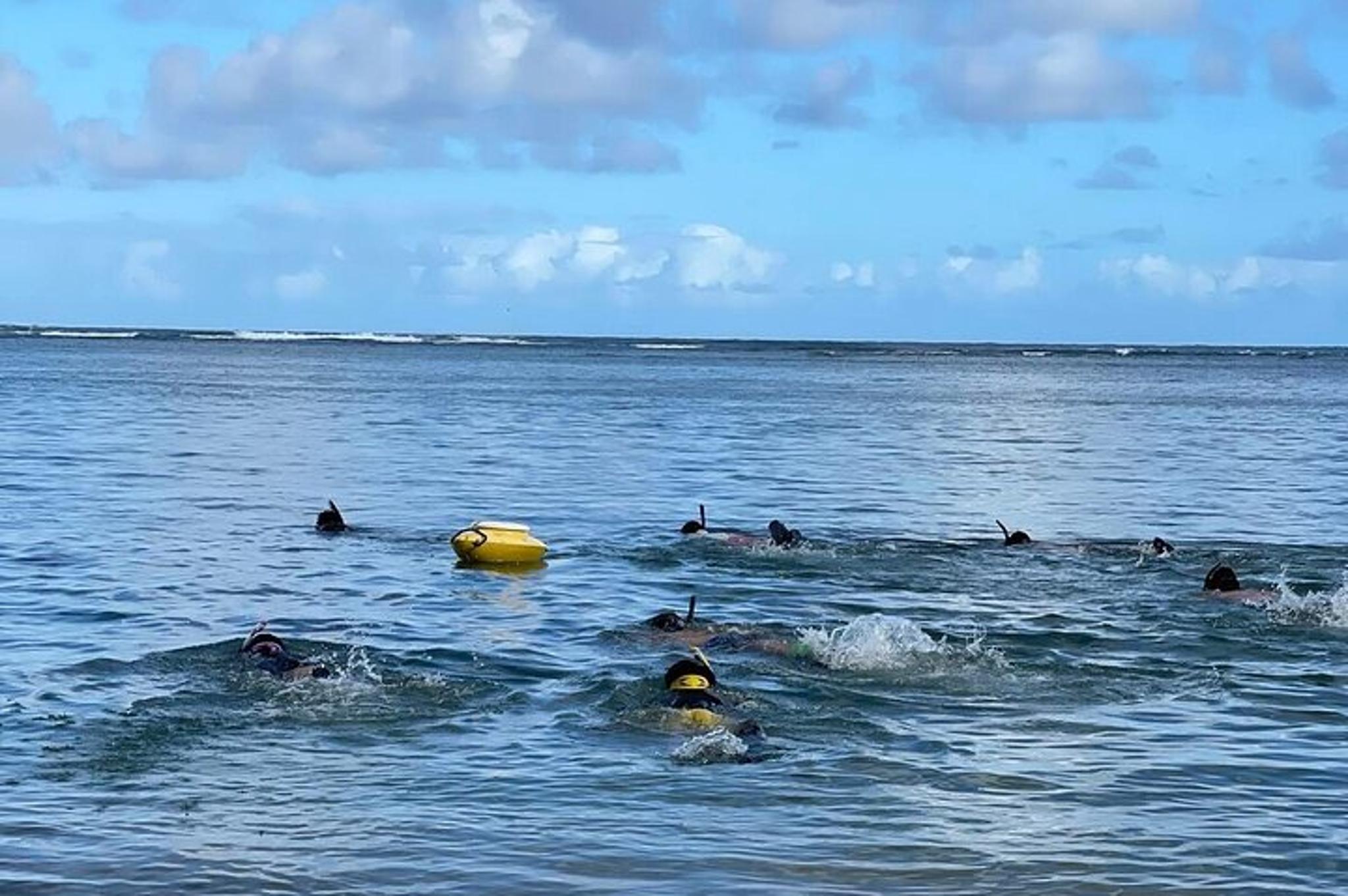 Kauai Reef Spearfishing Lesson for Beginners - Image 4