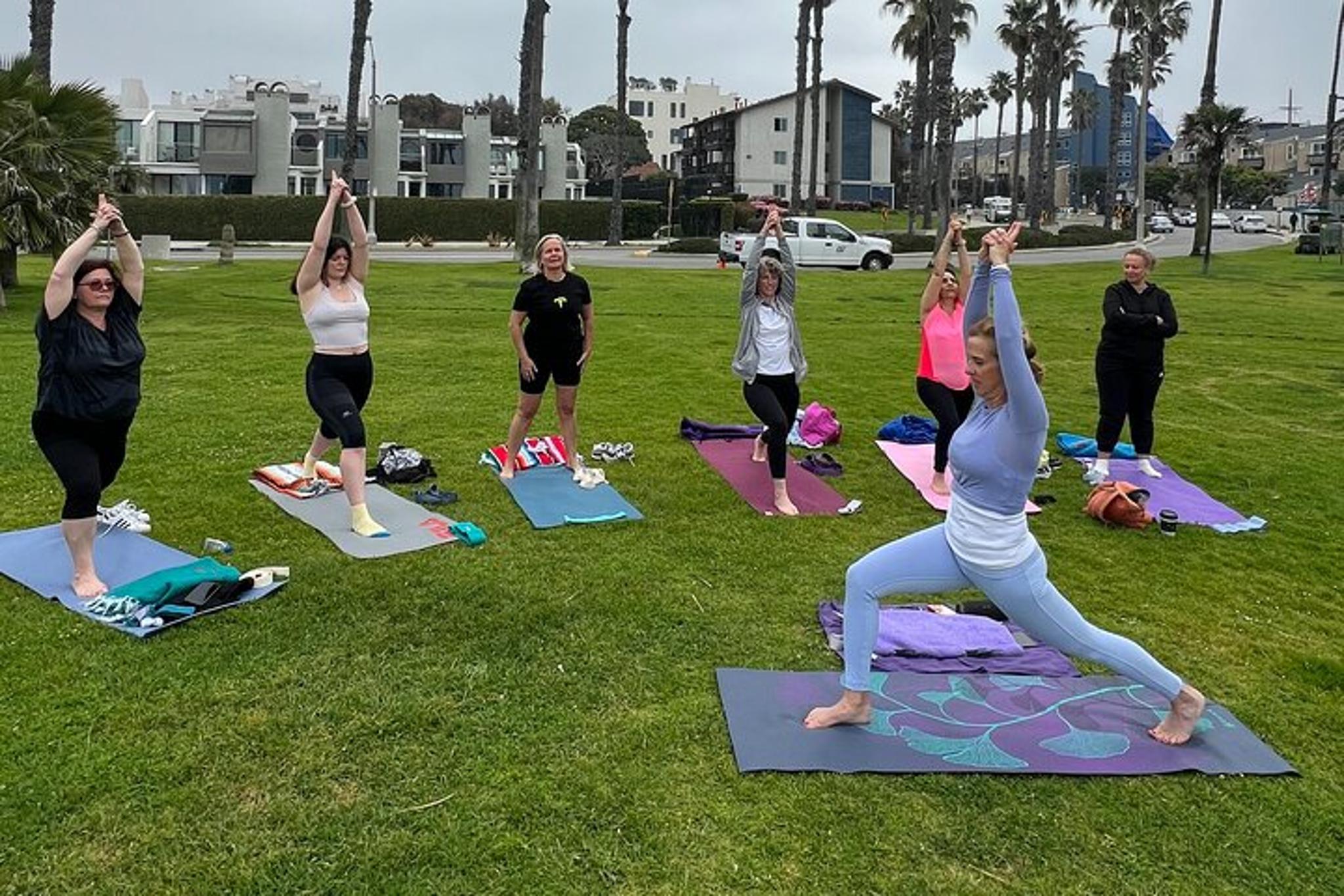 Santa Monica Beach Vinyasa Yoga Class in French 1 hr - Image 6