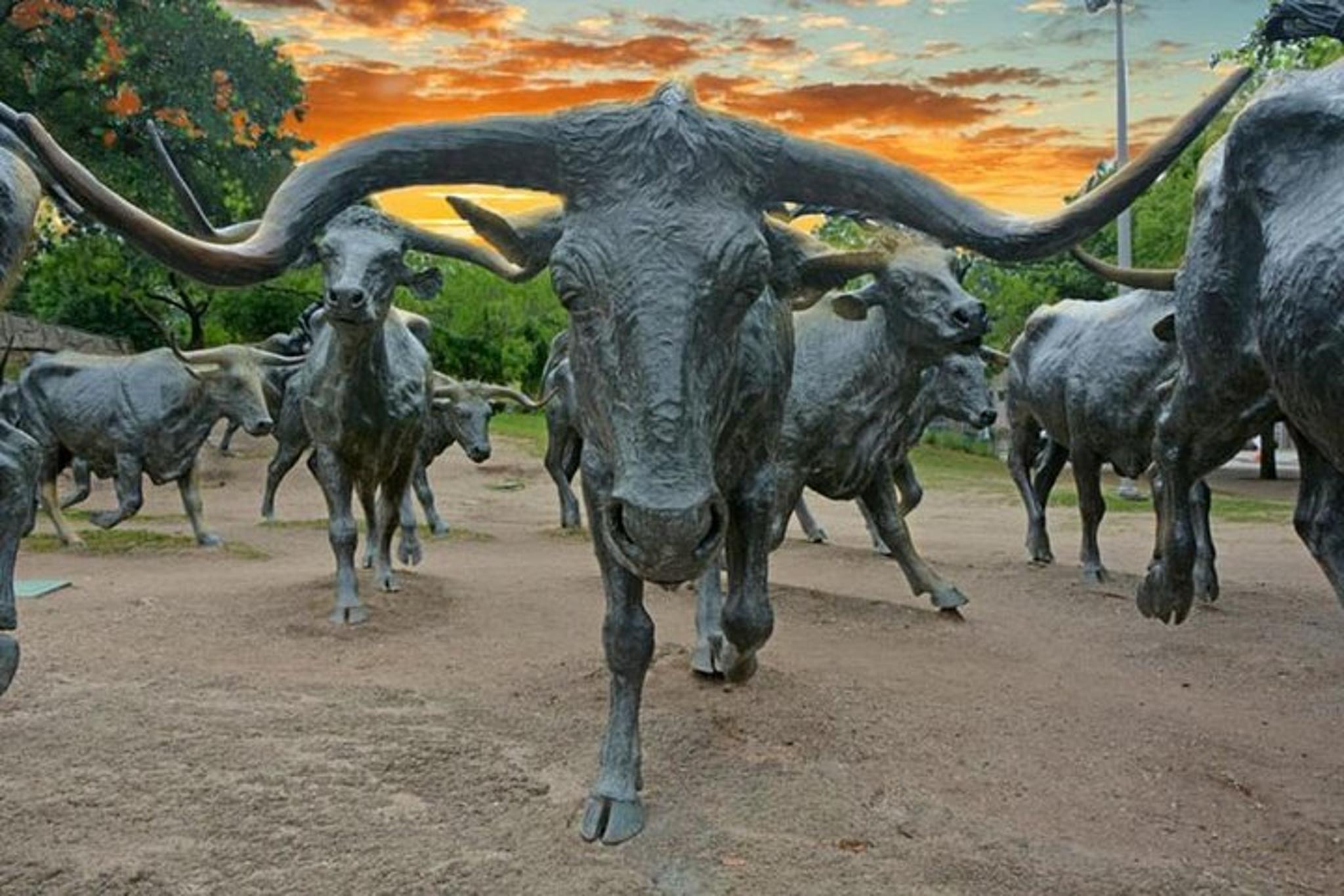 Dallas Sightseeing Bus Tour - Image 3
