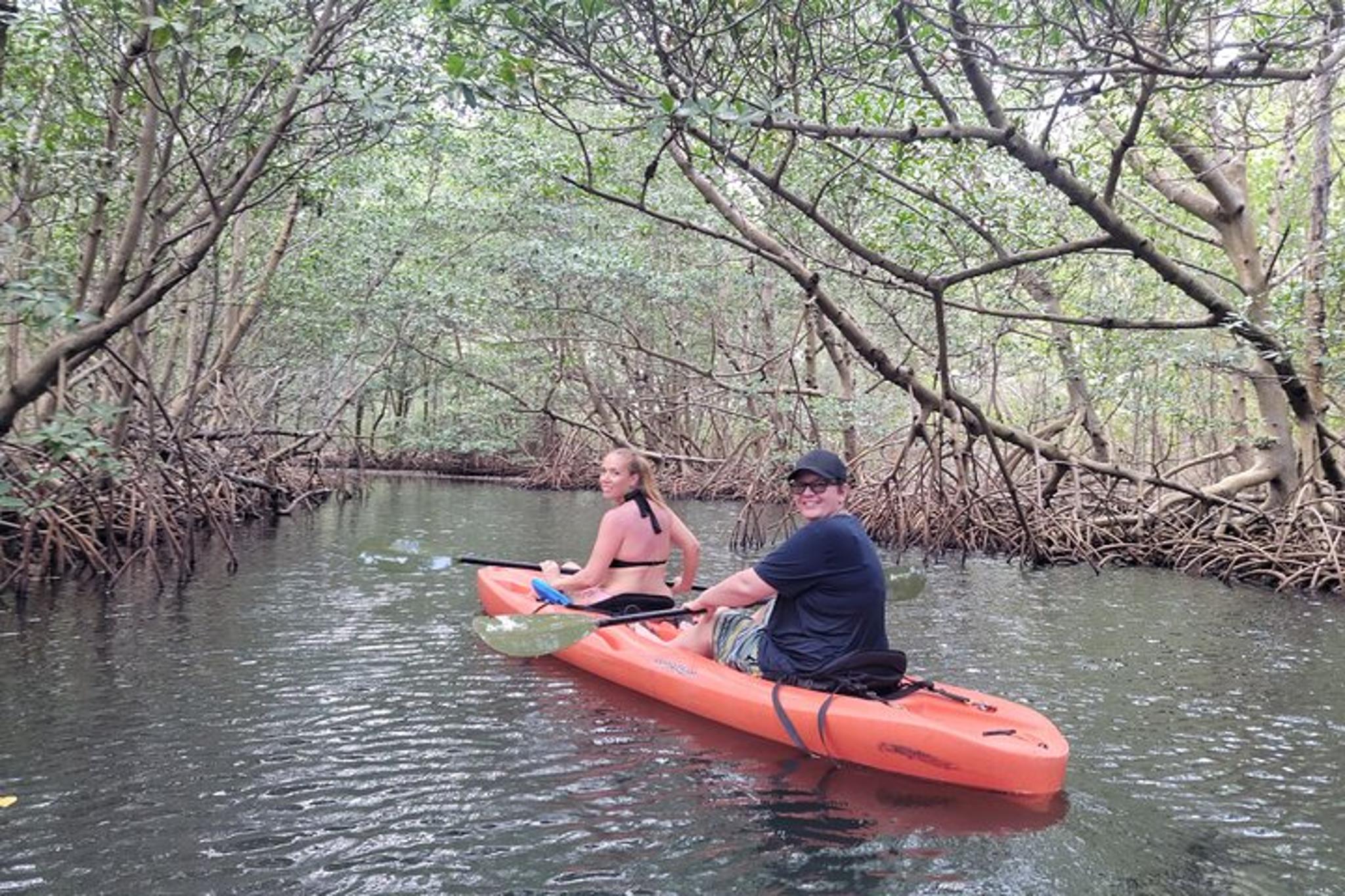 Miami Nature & Island Exploration on SUP/Kayak - Image 6