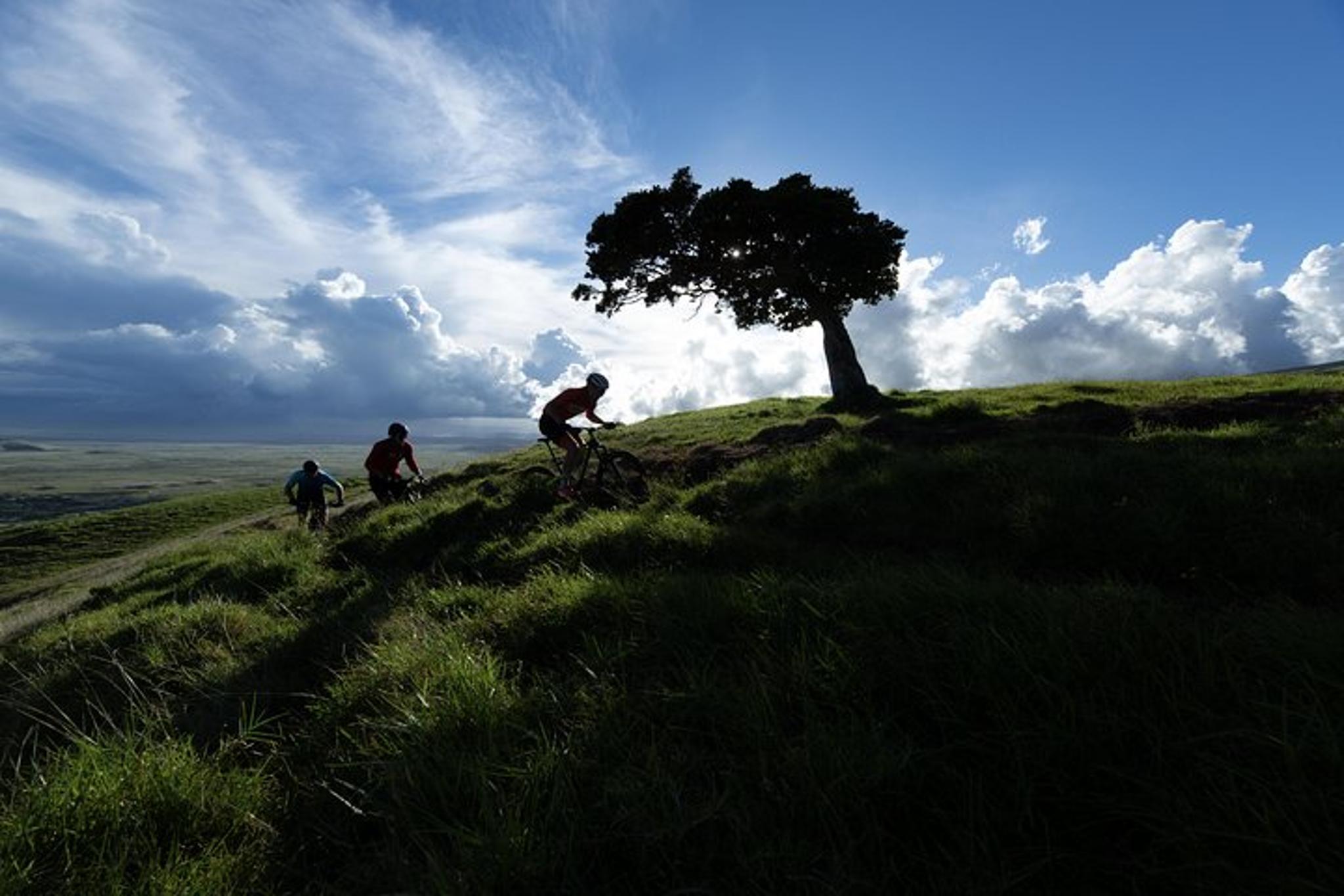 Big Island Mountain Biking on Anna Ranch
