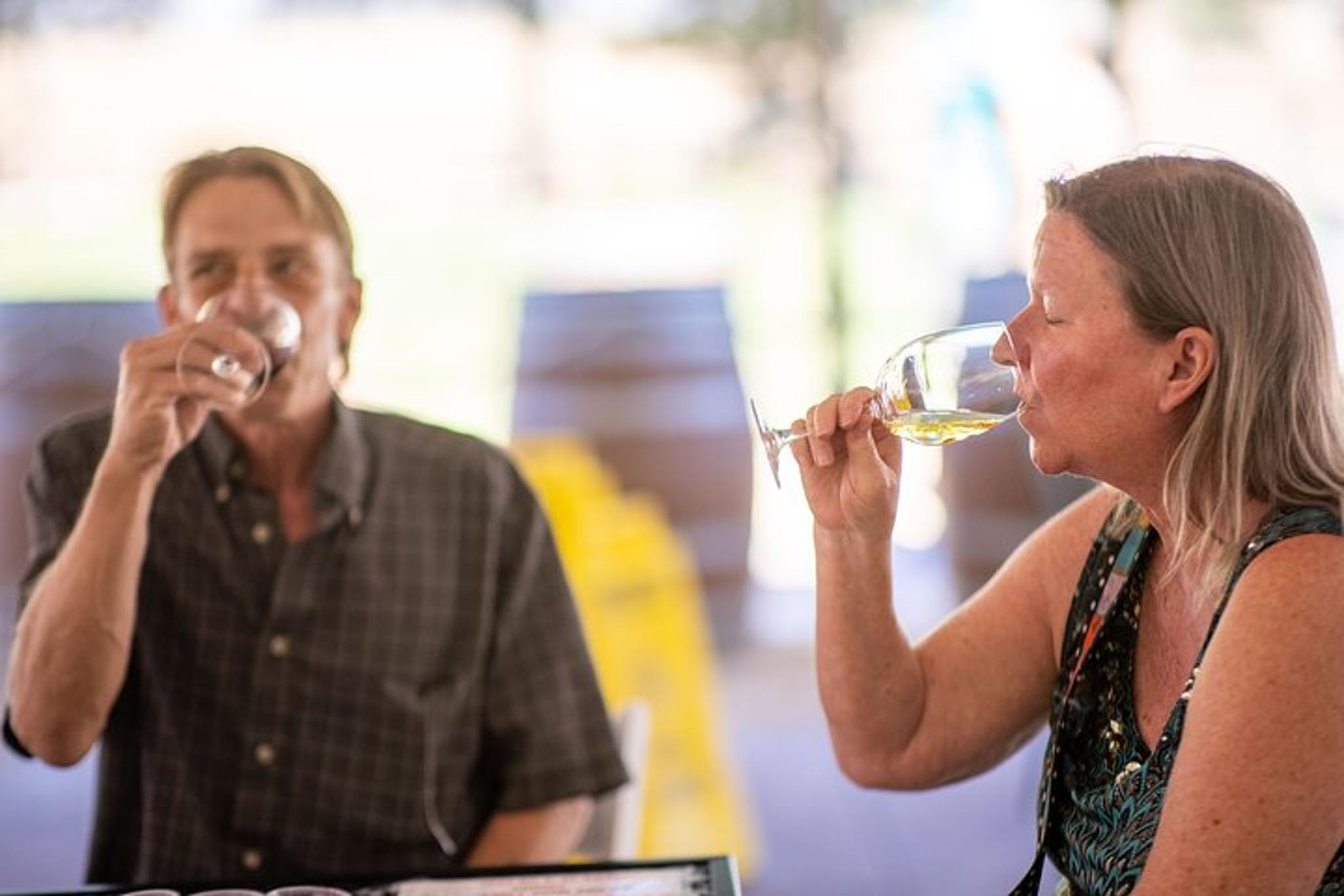 Fredericksburg Wine Tour - Image 5