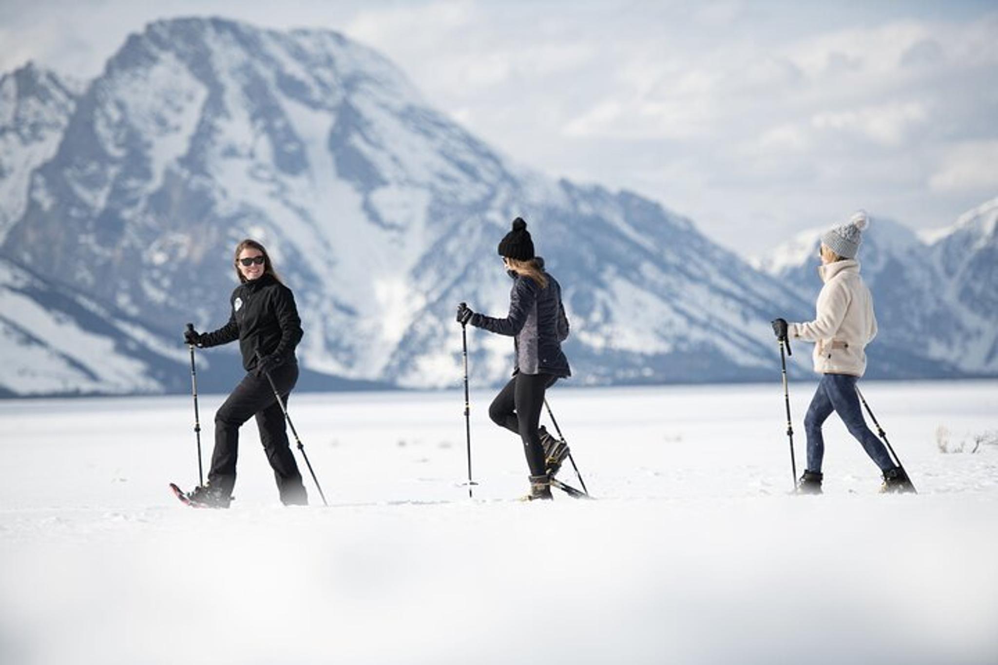 Jackson Snowshoe Tour in Grand Teton National Park 4 hr - Image 1