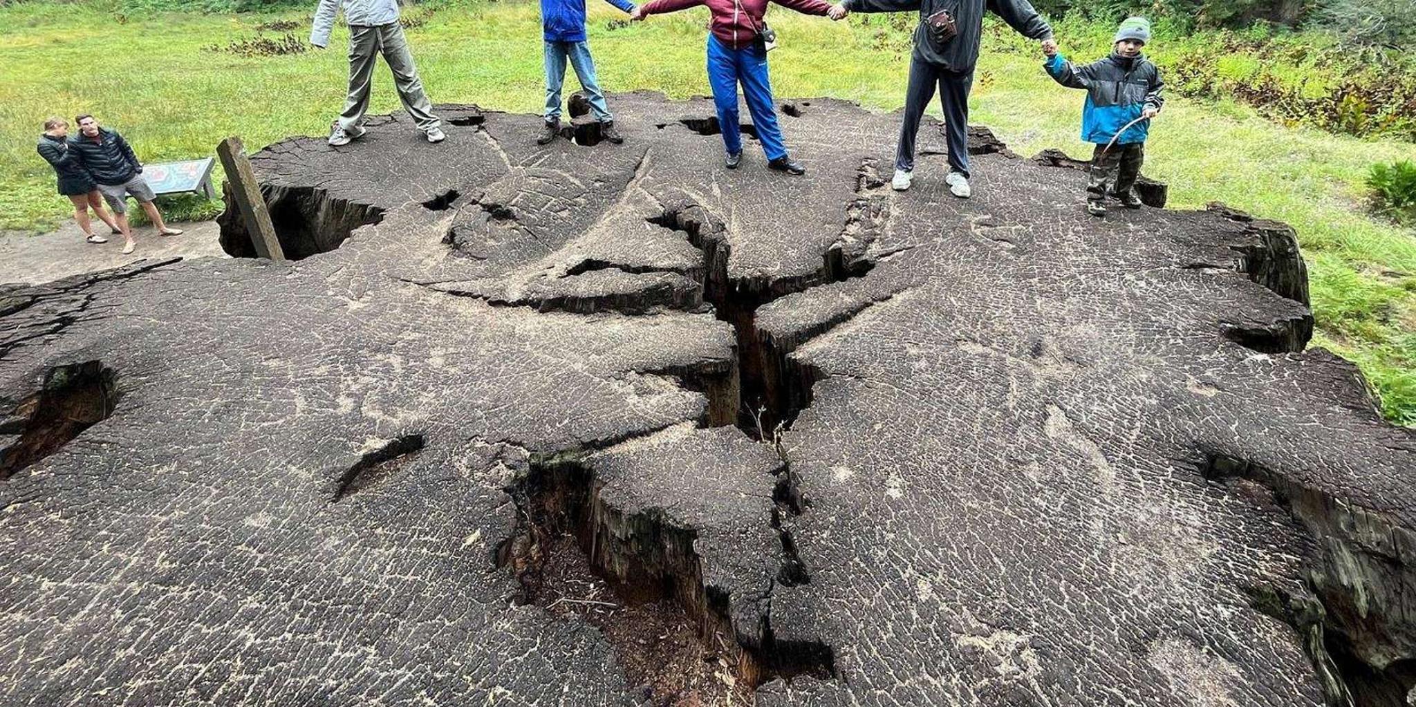 Los Angeles Sequoia and Kings Canyon Private Tour - Image 2
