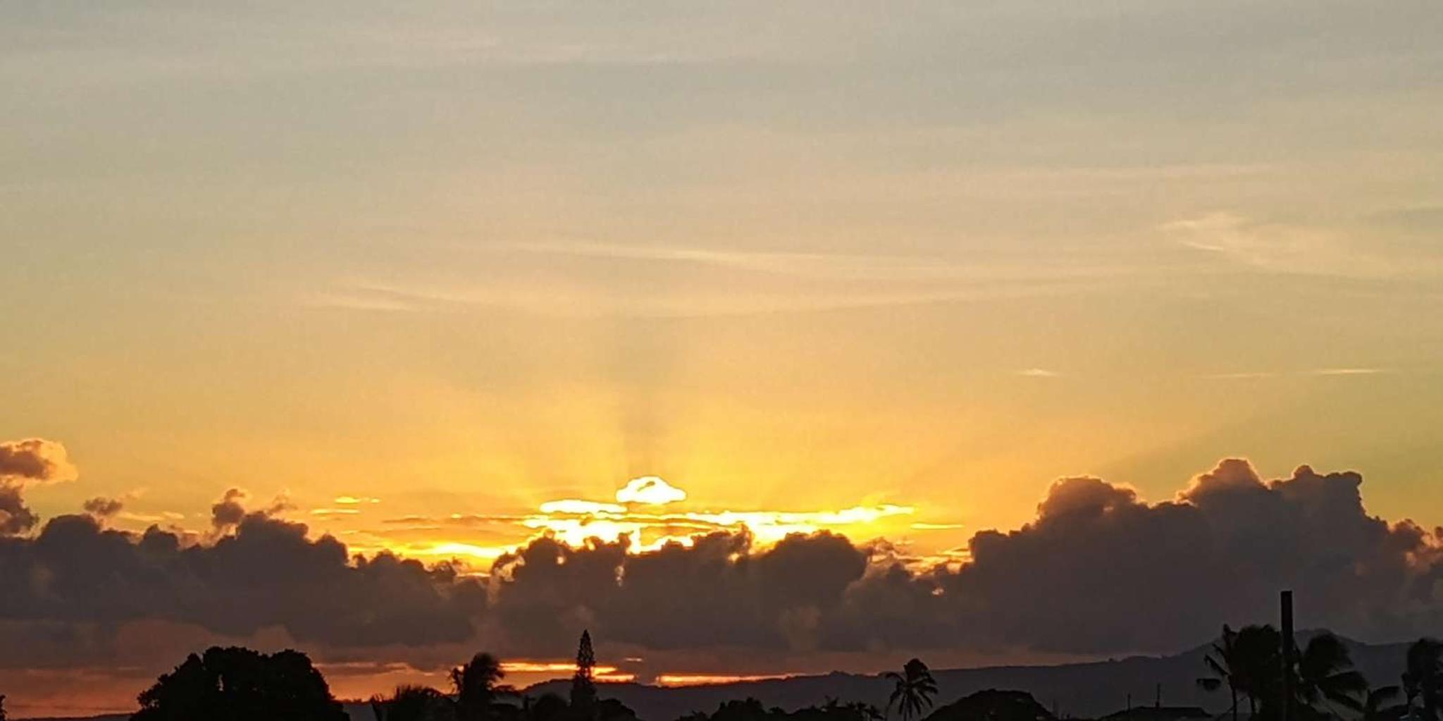 Maui East Side Hiking Tour - Image 6