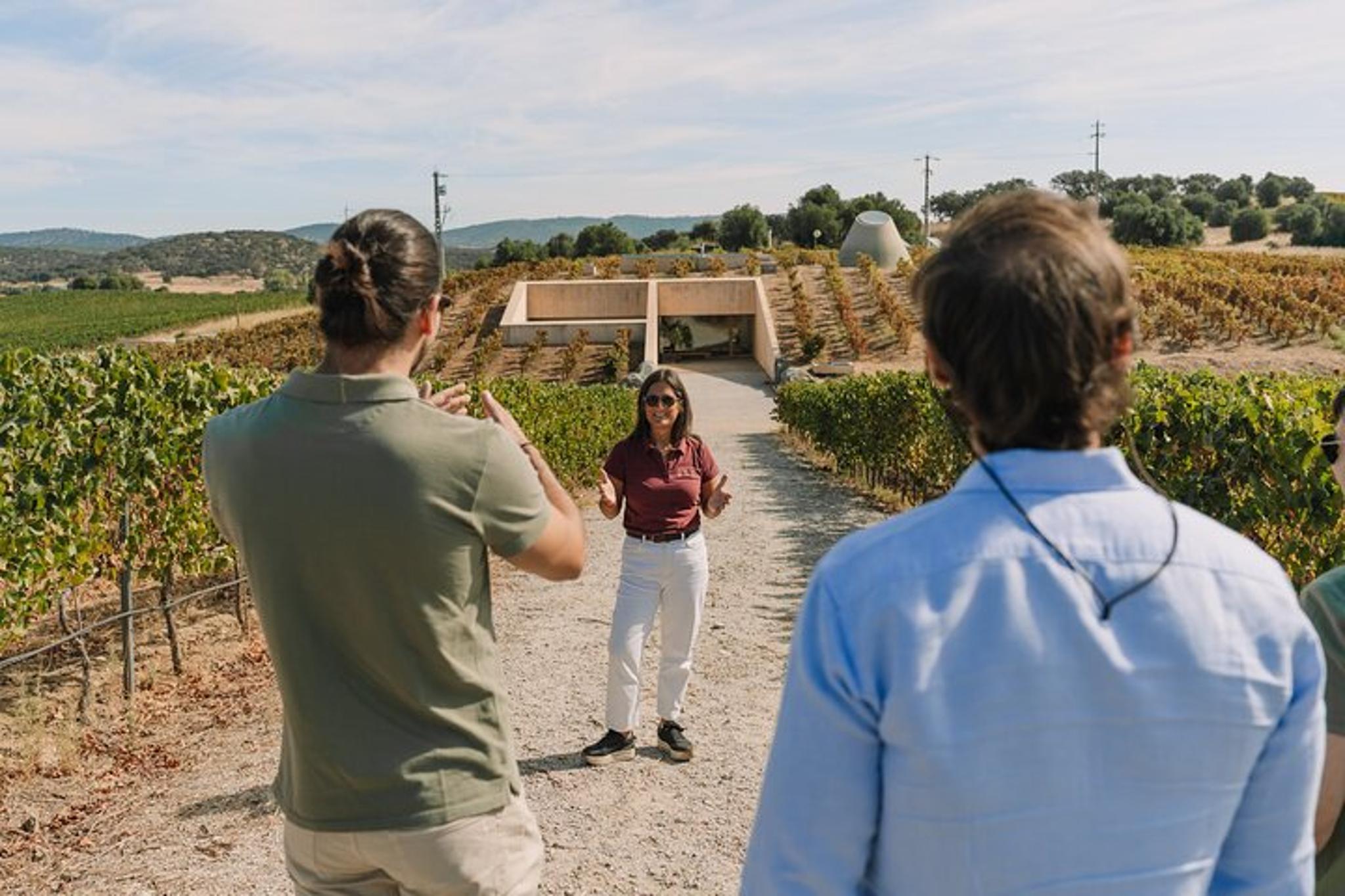 Évora Wine Tour - Image 4