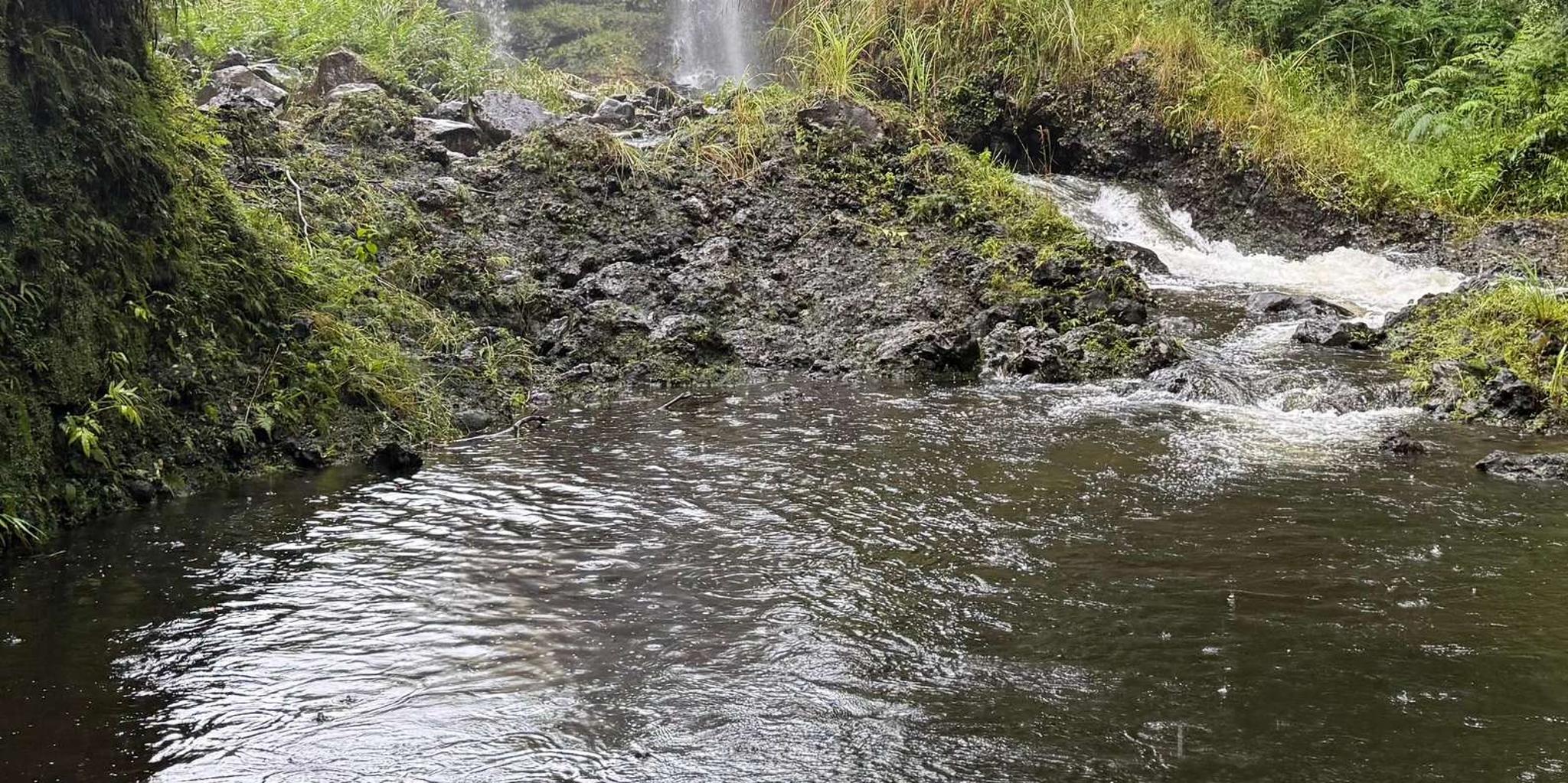 Hilo Waterfall Hike and Swim with Native Hawaiian - Image 5