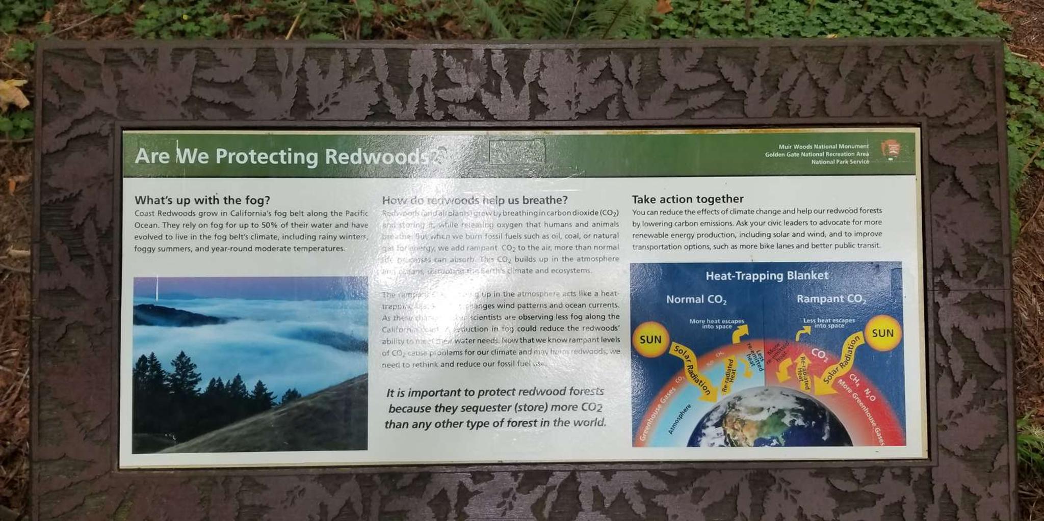 San Francisco Muir Woods and Marin Headlands Tour - Image 5