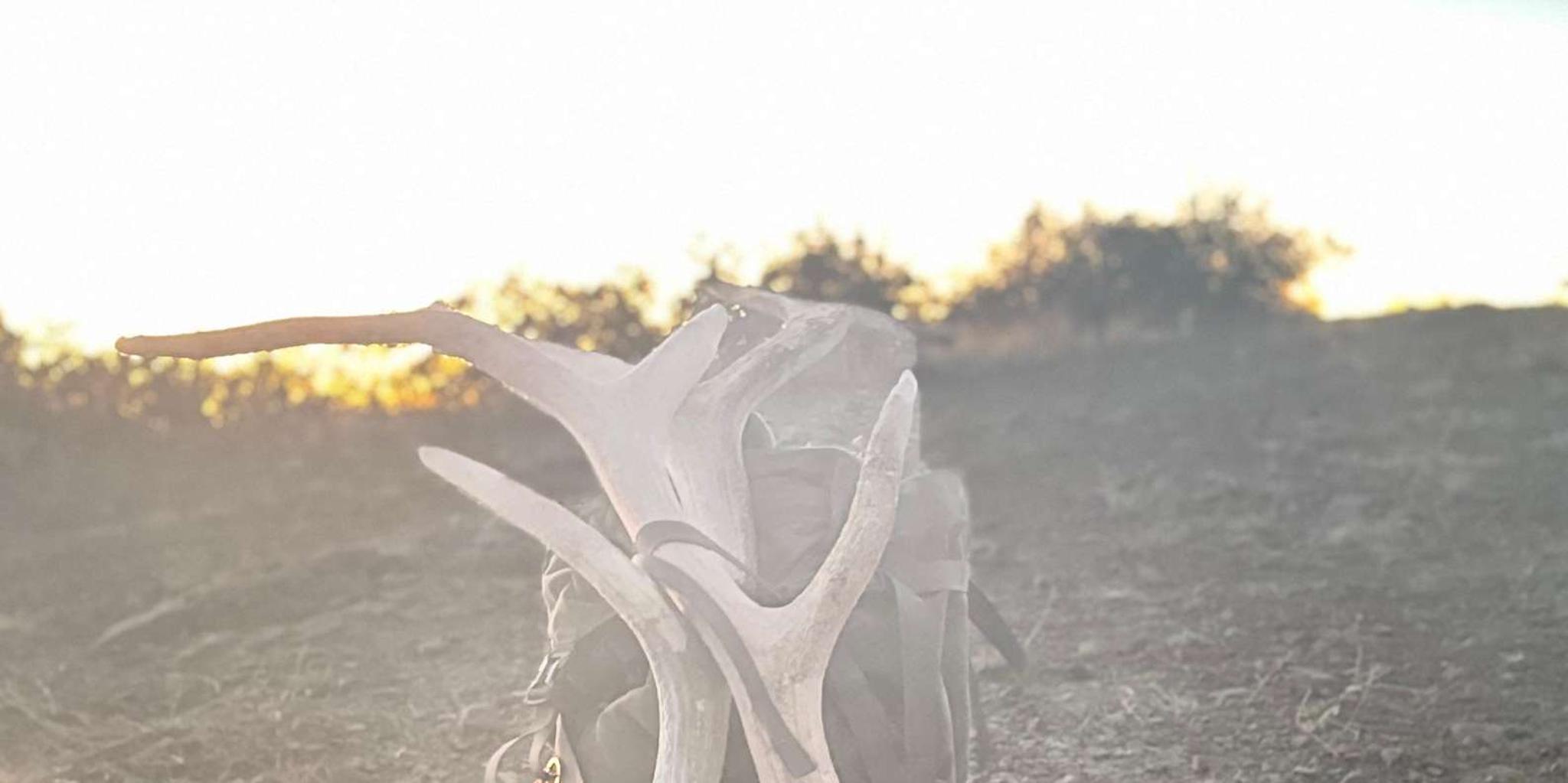 Sedona Outdoor Adventure with Optional Yoga - Image 5