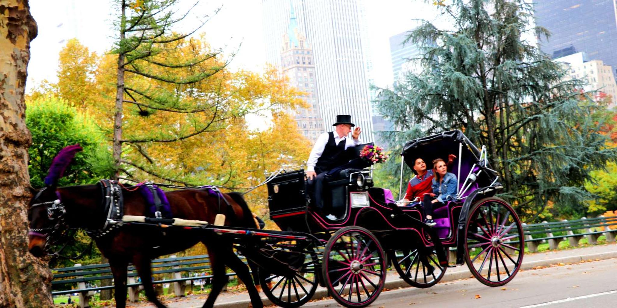 New York City Central Park Horse Carriage Ride - Image 4