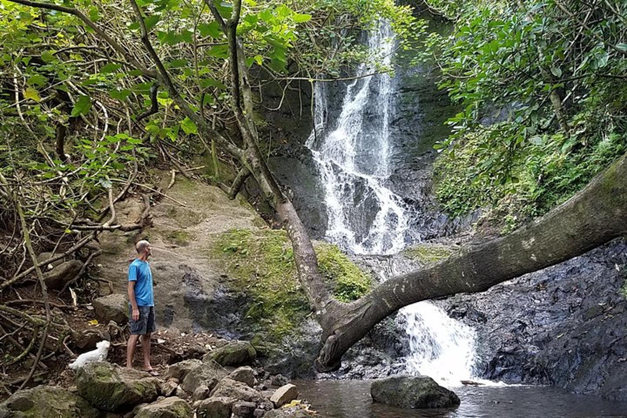 Oahu Bike, Hike, Sail and Snorkel Combo