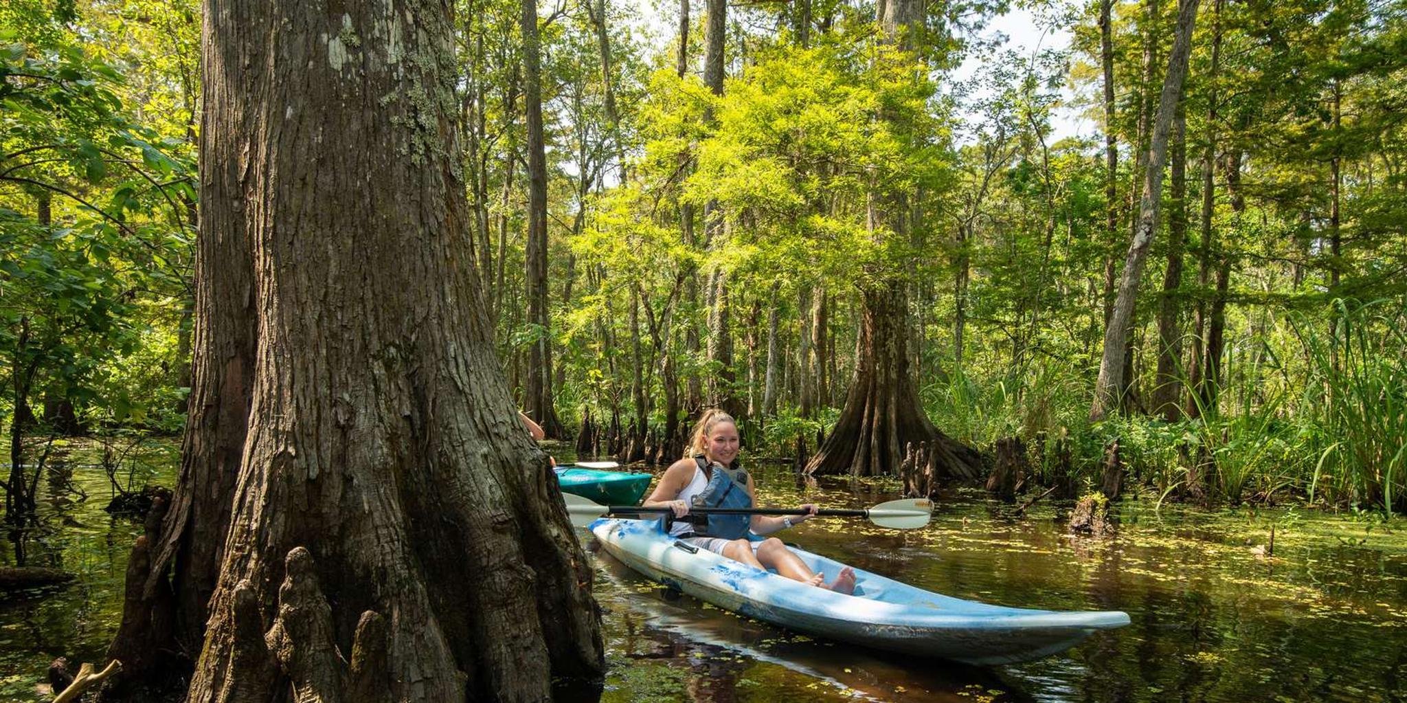 New Orleans Manchac Swamp Kayak Tour - Image 3
