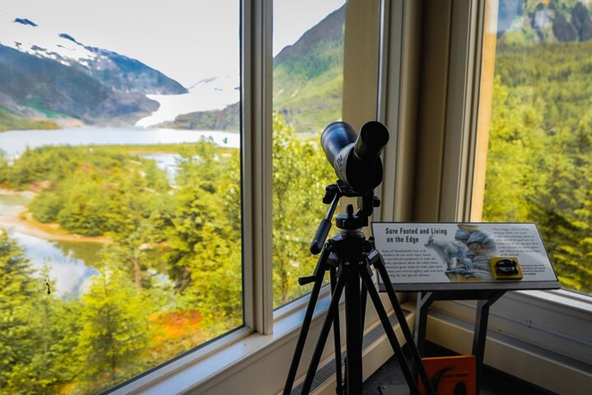 Juneau Mendenhall Glacier Express 3 hr - Image 6