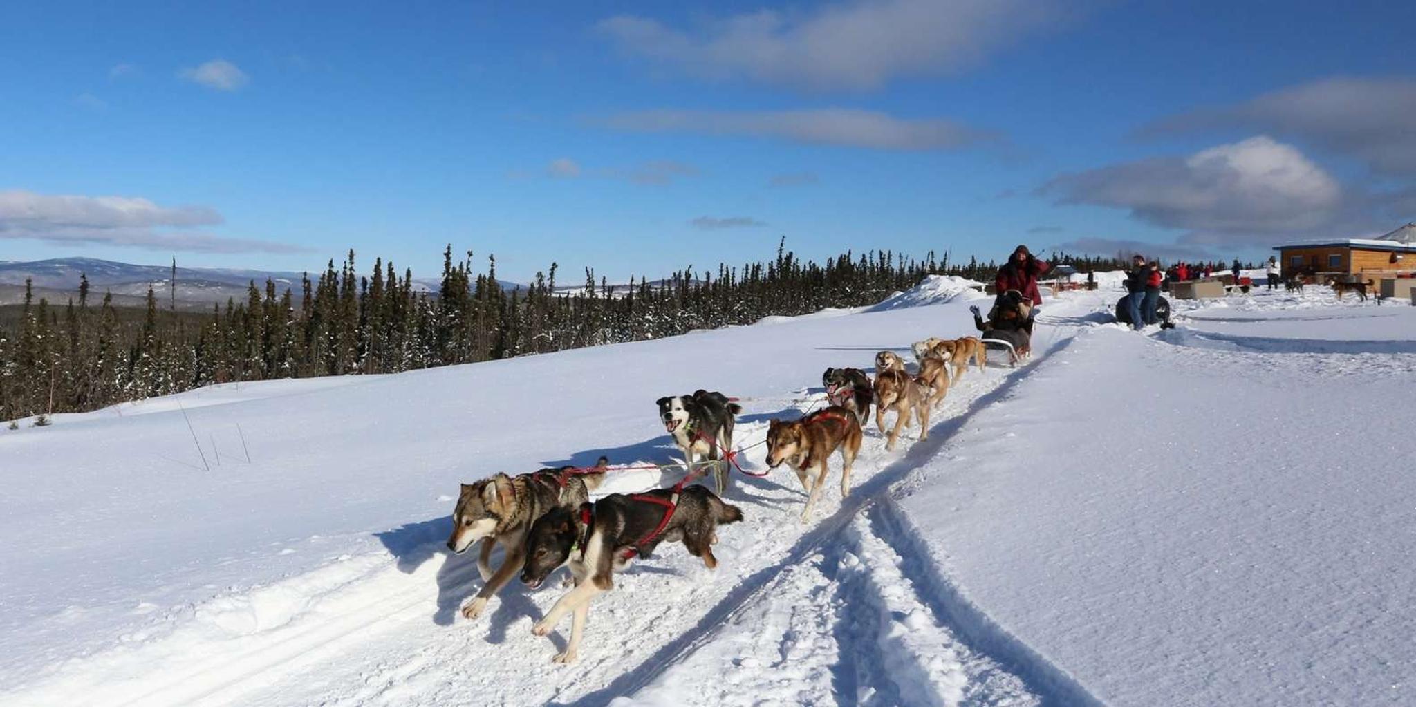 Fairbanks City Highlights Tour - Image 3