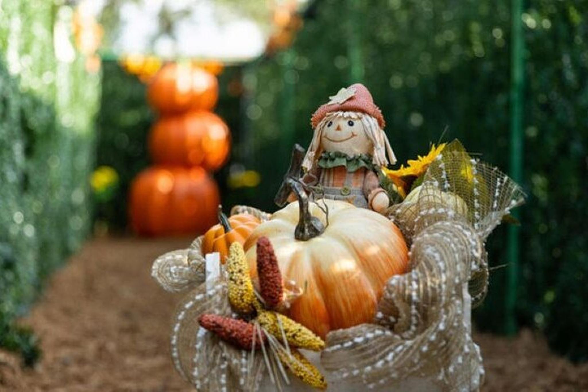 Central Florida Haunted Hayride - Image 3