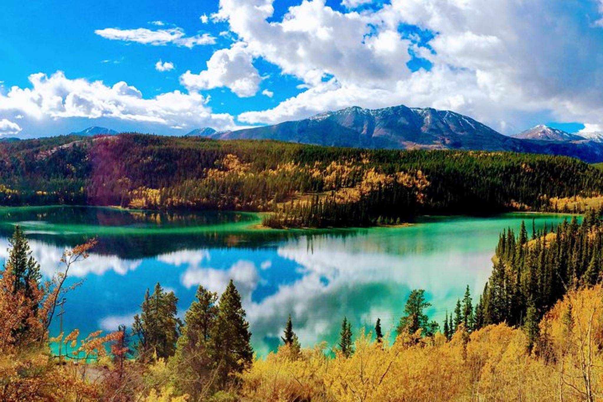 Skagway Yukon Full-Day Mini-Bus Tour