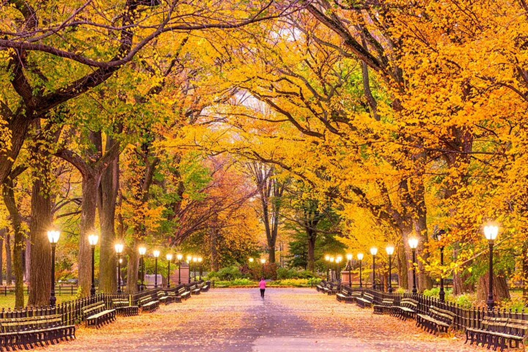 New York Central Park Self-Guided Audio Tour - Image 2