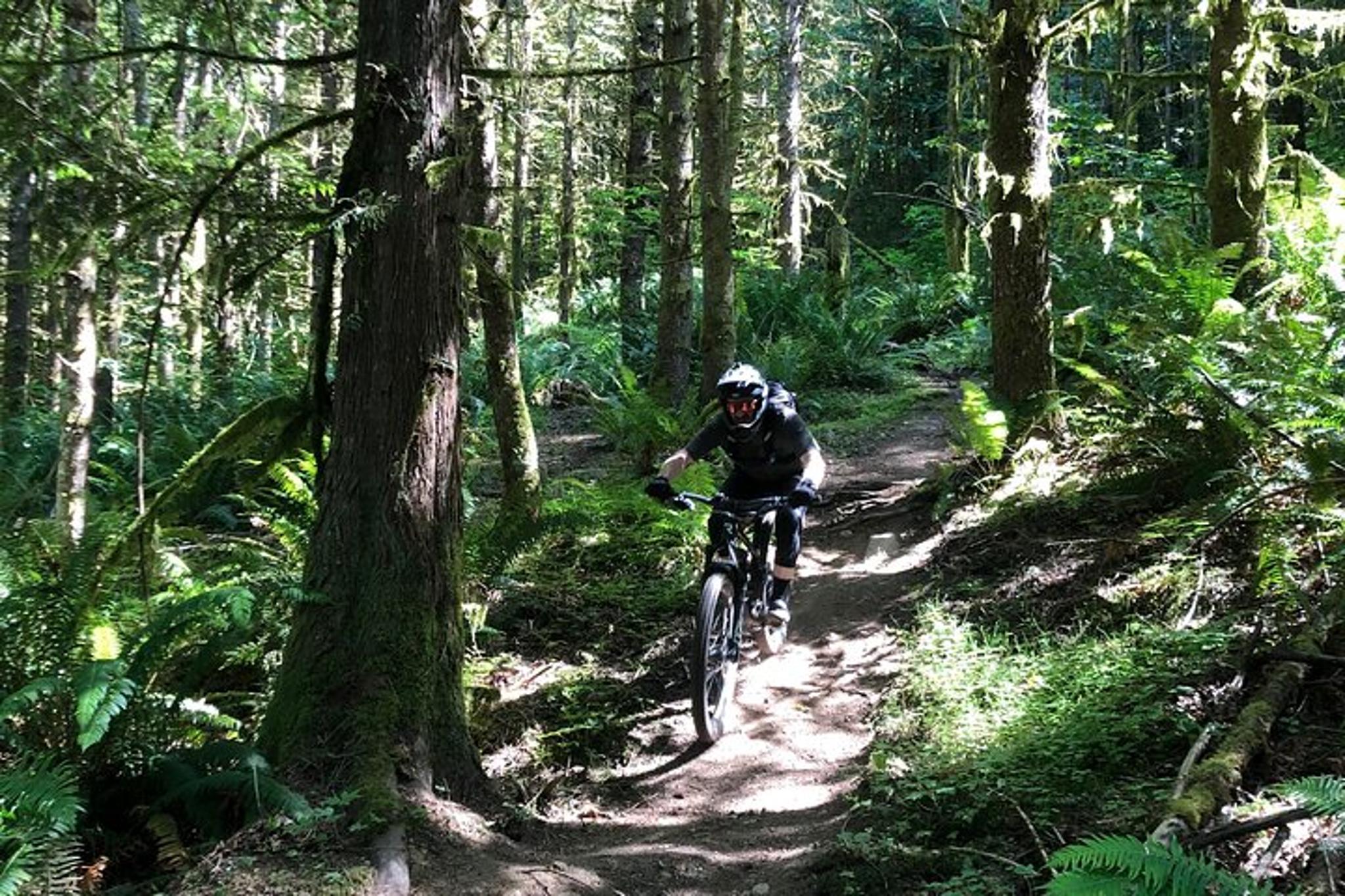 Seattle Mountain Biking Adventure - Image 5