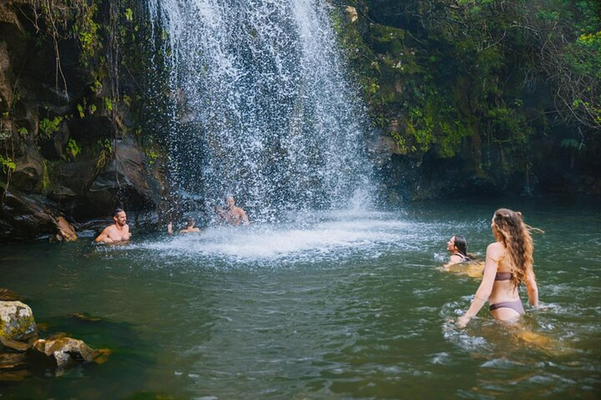 Kohala Waterfalls Adventure - Image 5