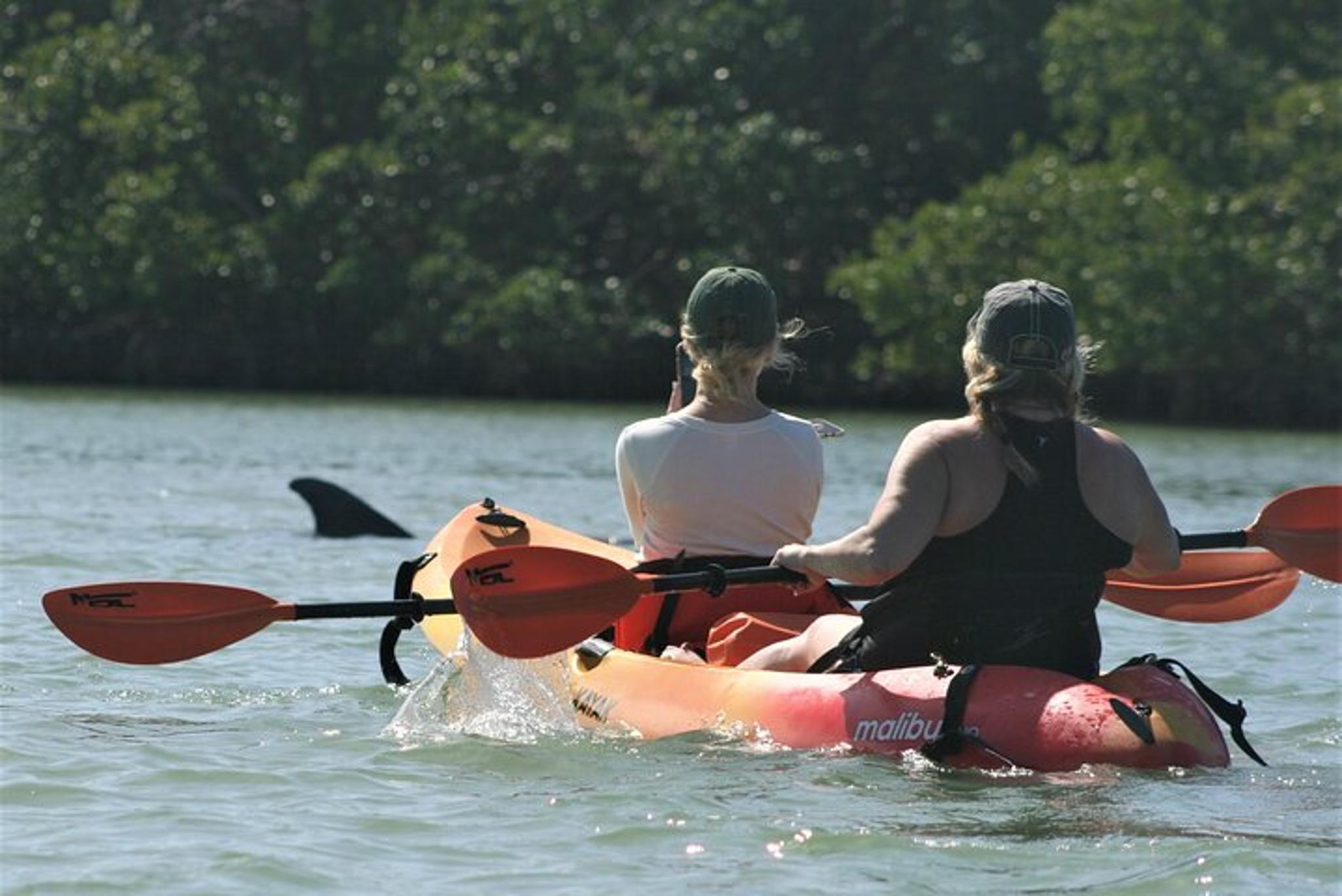 Naples Kayak Rental