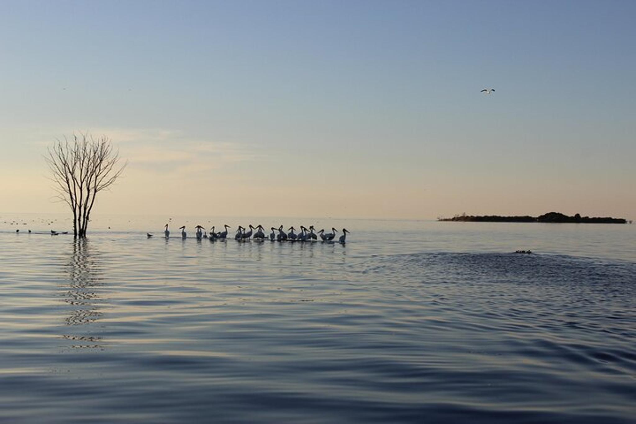 Fish Creek Scenic Boat Tour and Historic Cottage Row - Image 6