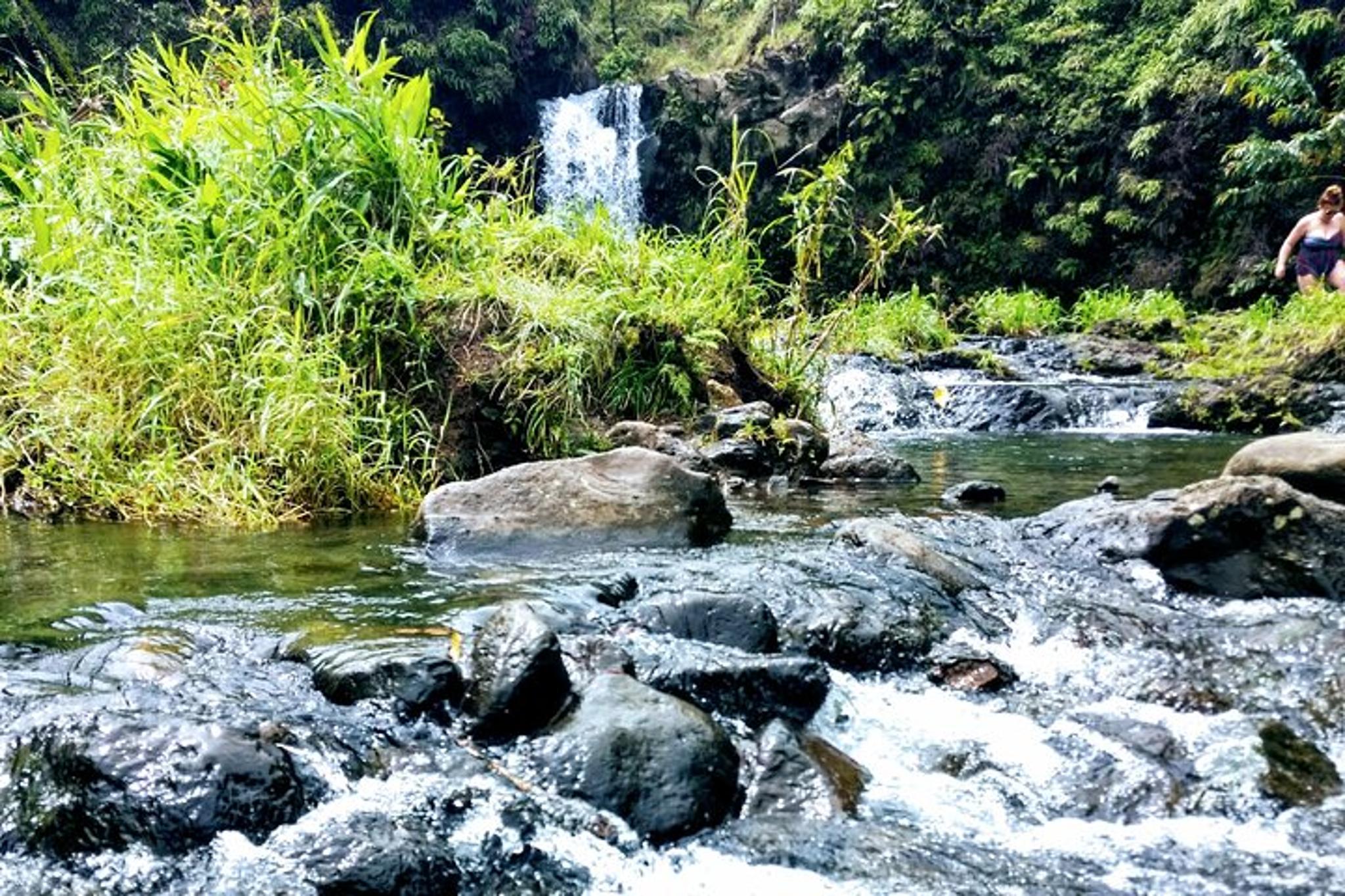 Maui Private Tour: Black Beach, Waterfalls, and Turtles - Image 3