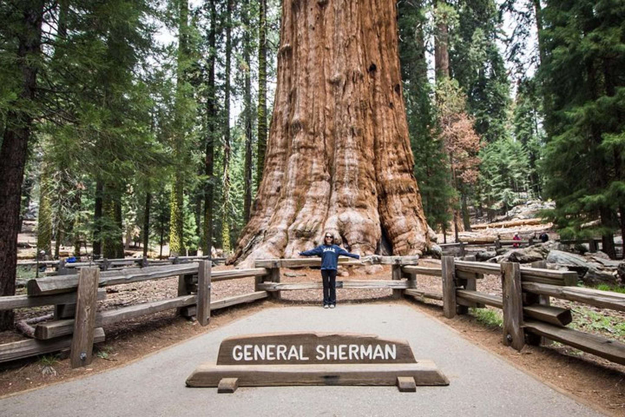 Sequoia National Park Private Hiking Tour