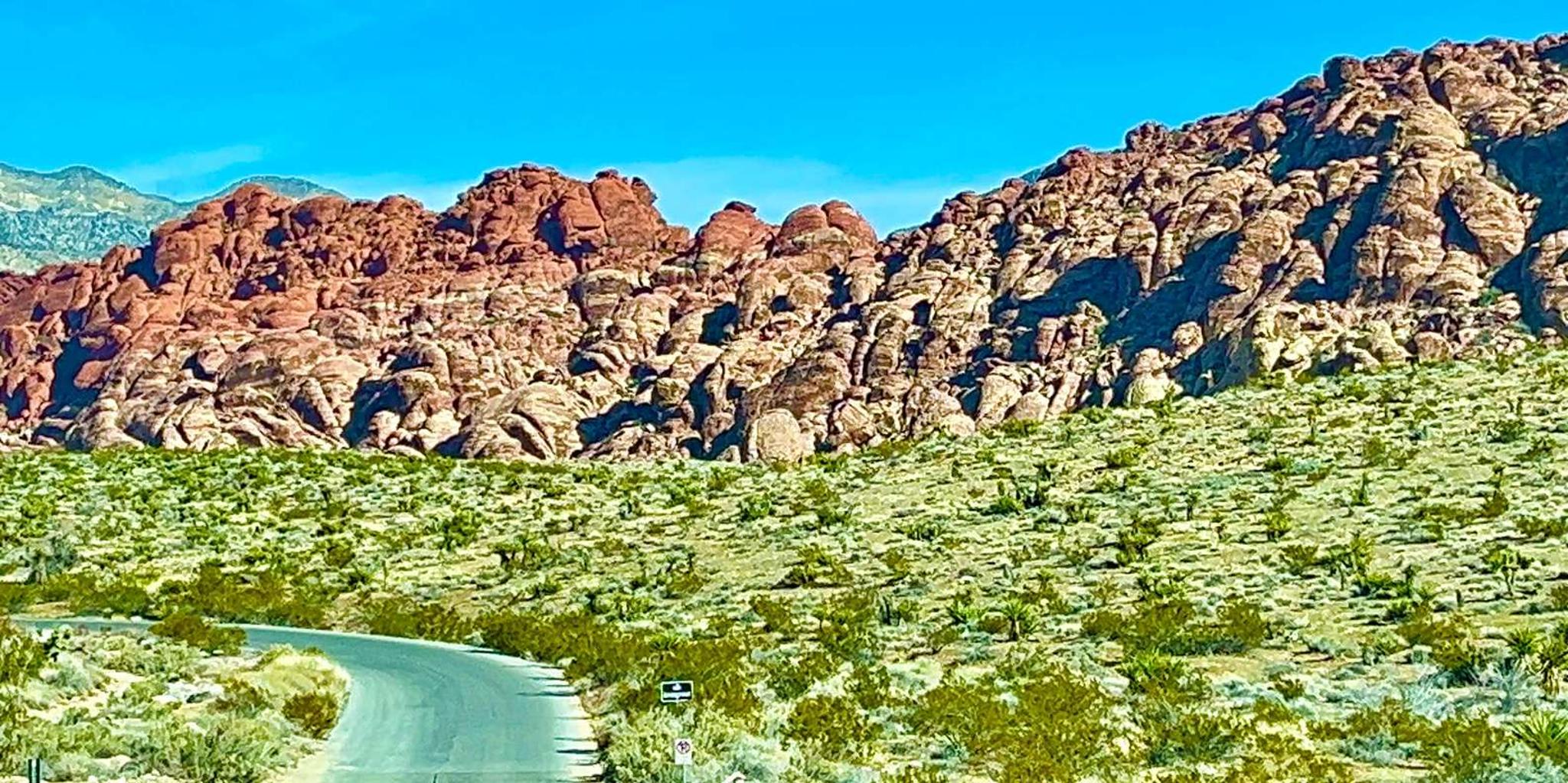 Las Vegas Red Rock Canyon Tesla Self-Guided Tour - Image 5