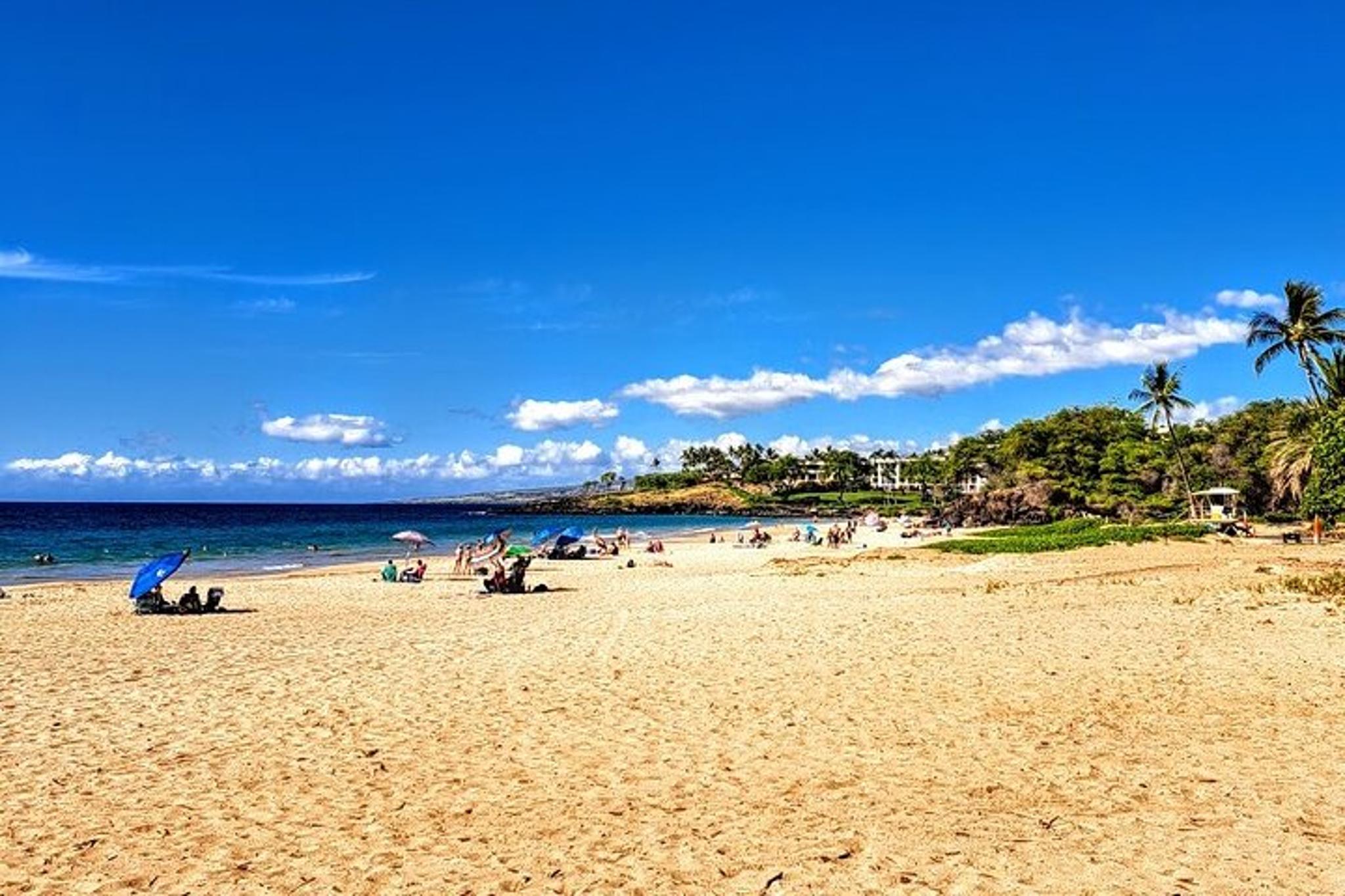 Hapuna Beach and Hawi Private Tour - Image 2