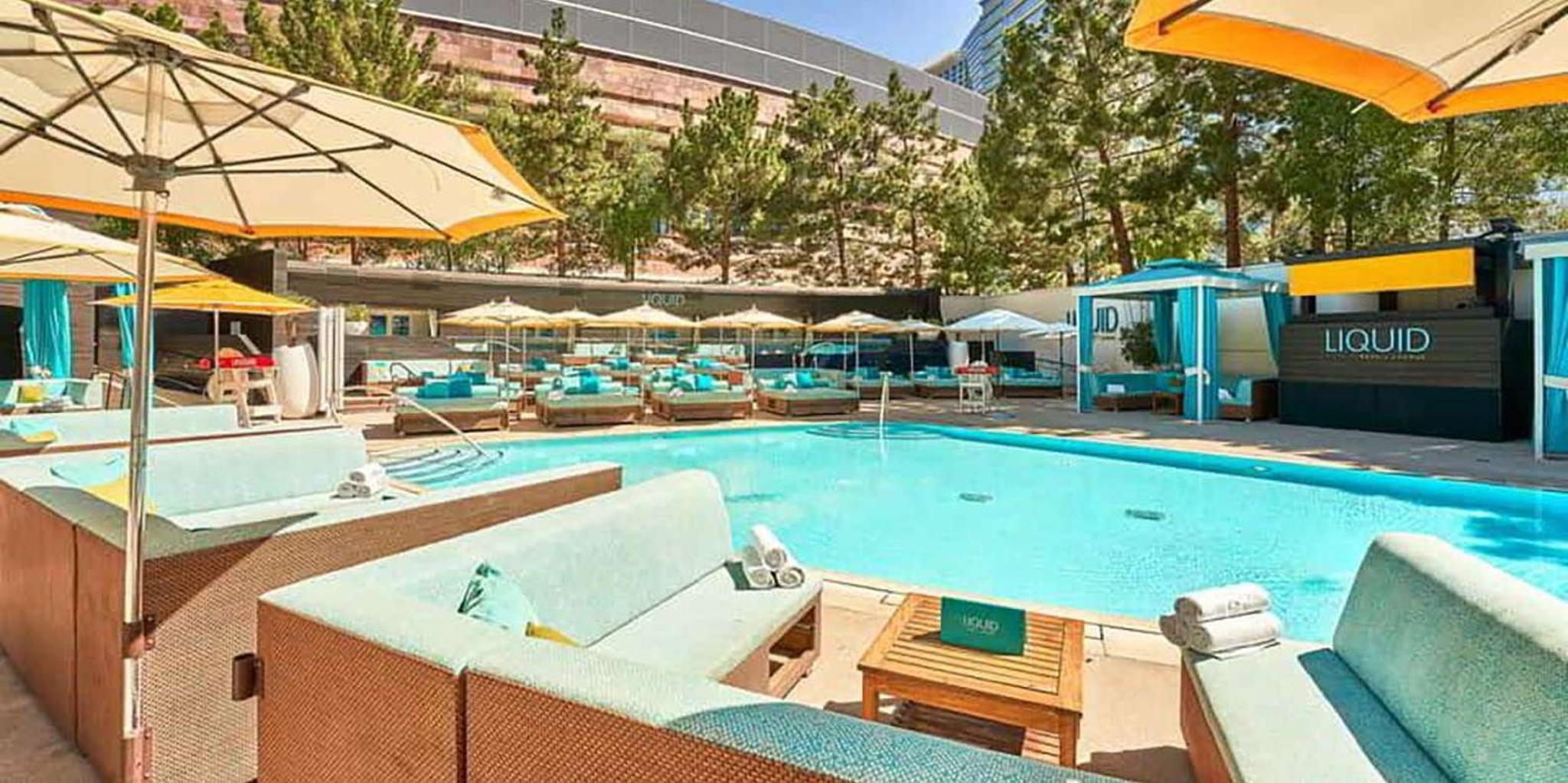 Las Vegas Pool and Club Crawl with Party Bus - Image 5