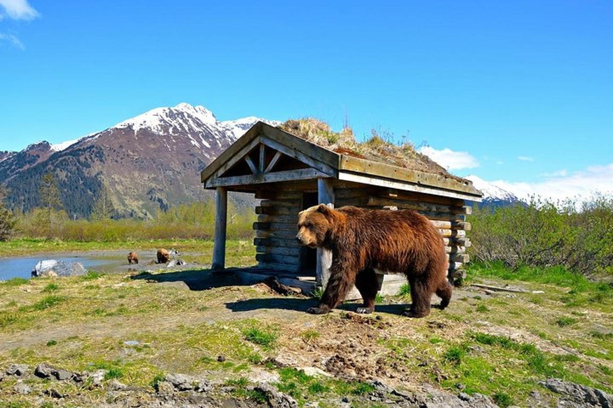 Anchorage to Whittier Private Cruise Transfer