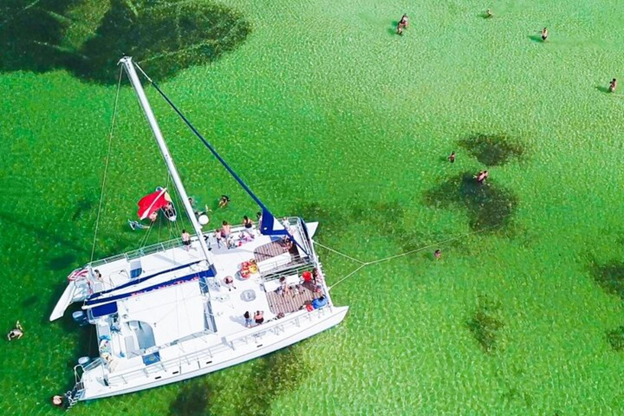 Panama City Beach Snorkel and Dolphin Catamaran Cruise - Image 1