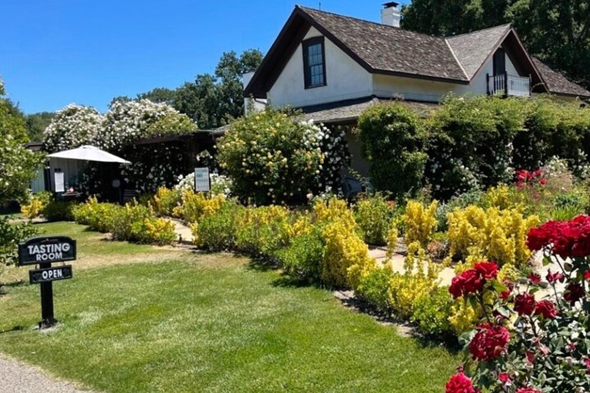 Santa Barbara Wine Country Vineyards & Villages Tour - Image 4