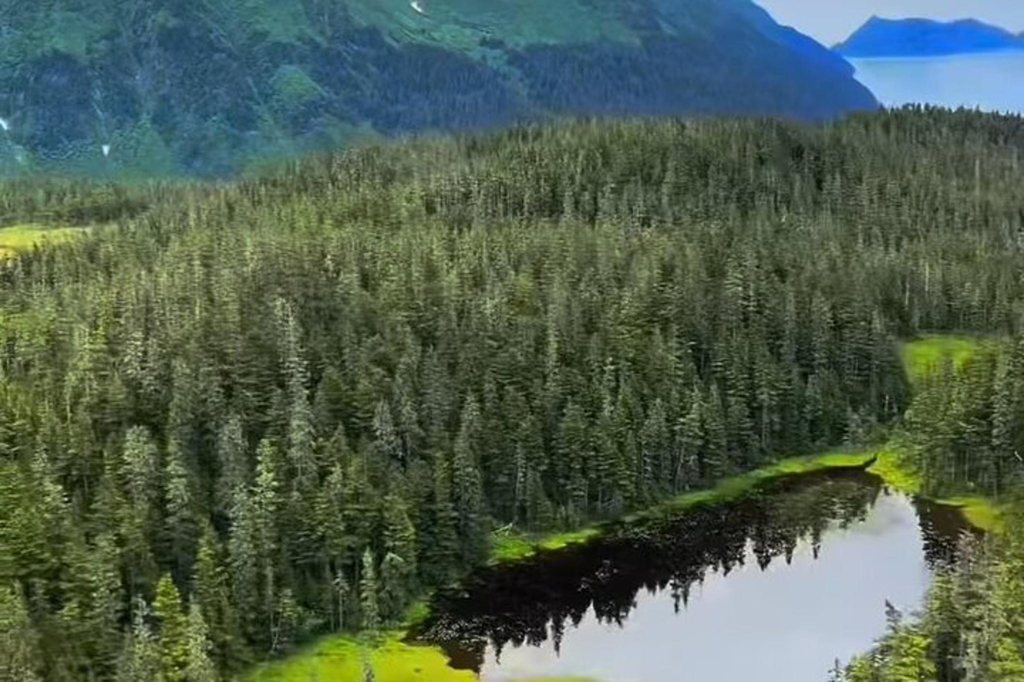 Seward Helicopter Tour Over Bear Glacier 30 min - Image 3