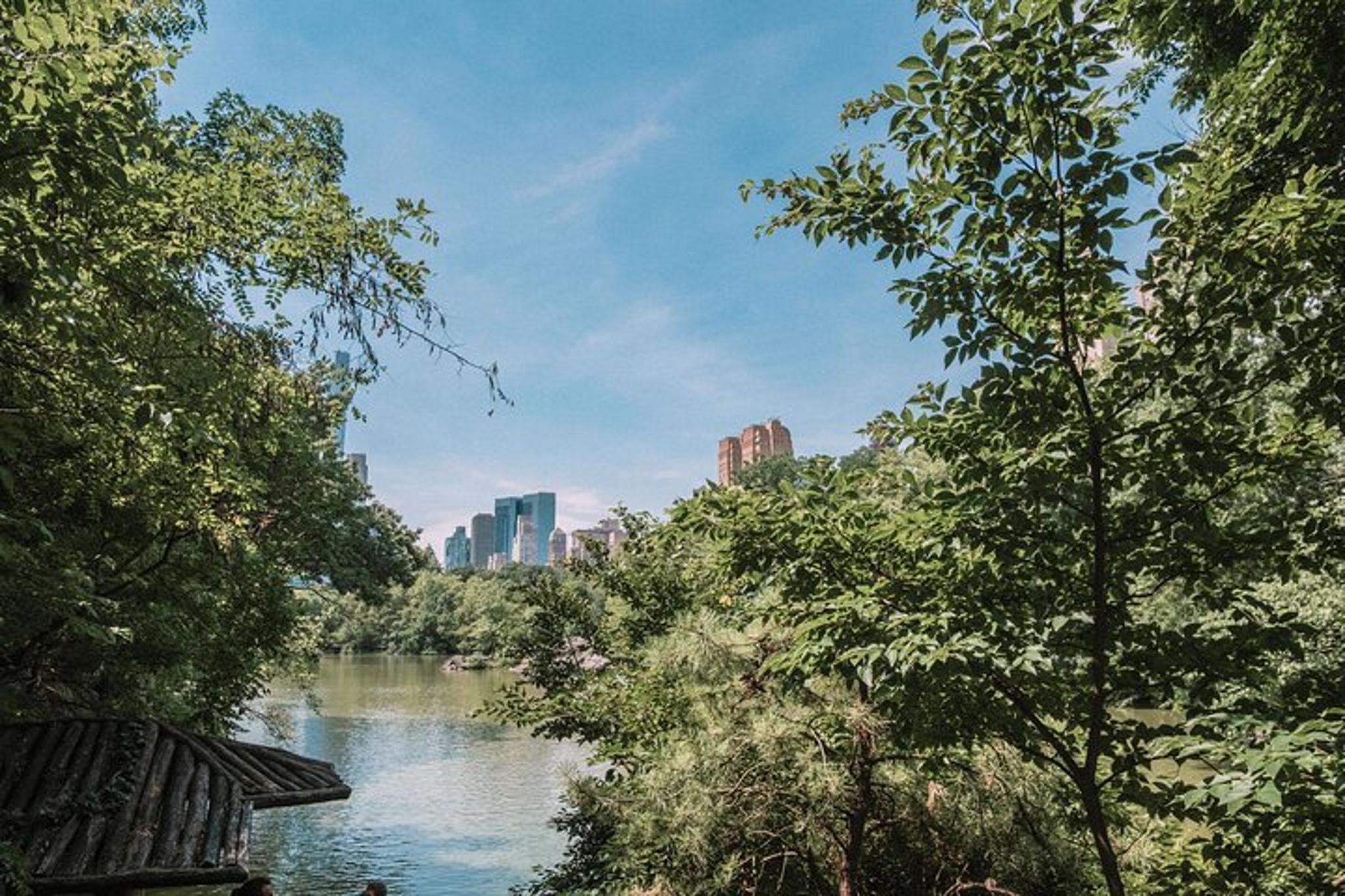 New York Central Park Bicycle Tour - Cinema - Image 2