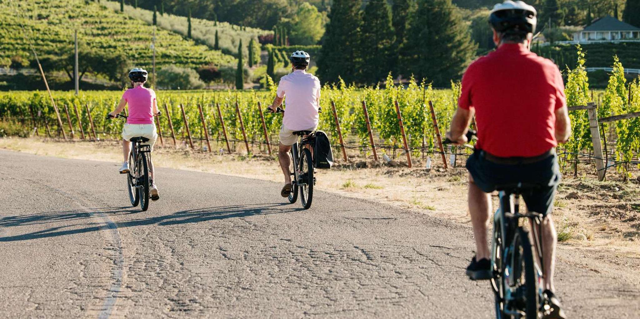 Healdsburg Electric Bike Wine Tour - Image 5