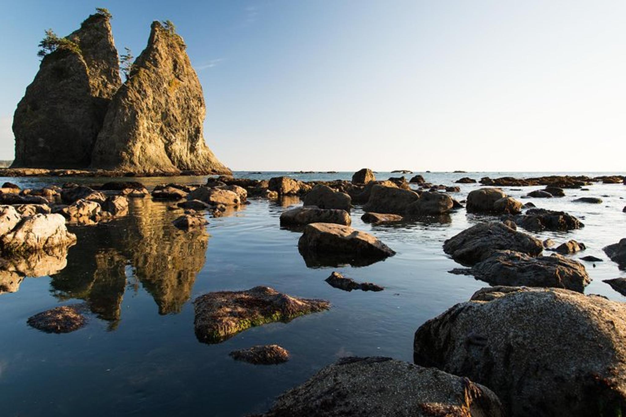 Seattle Olympic National Park Silent Forest Tour 3 Days - Image 2