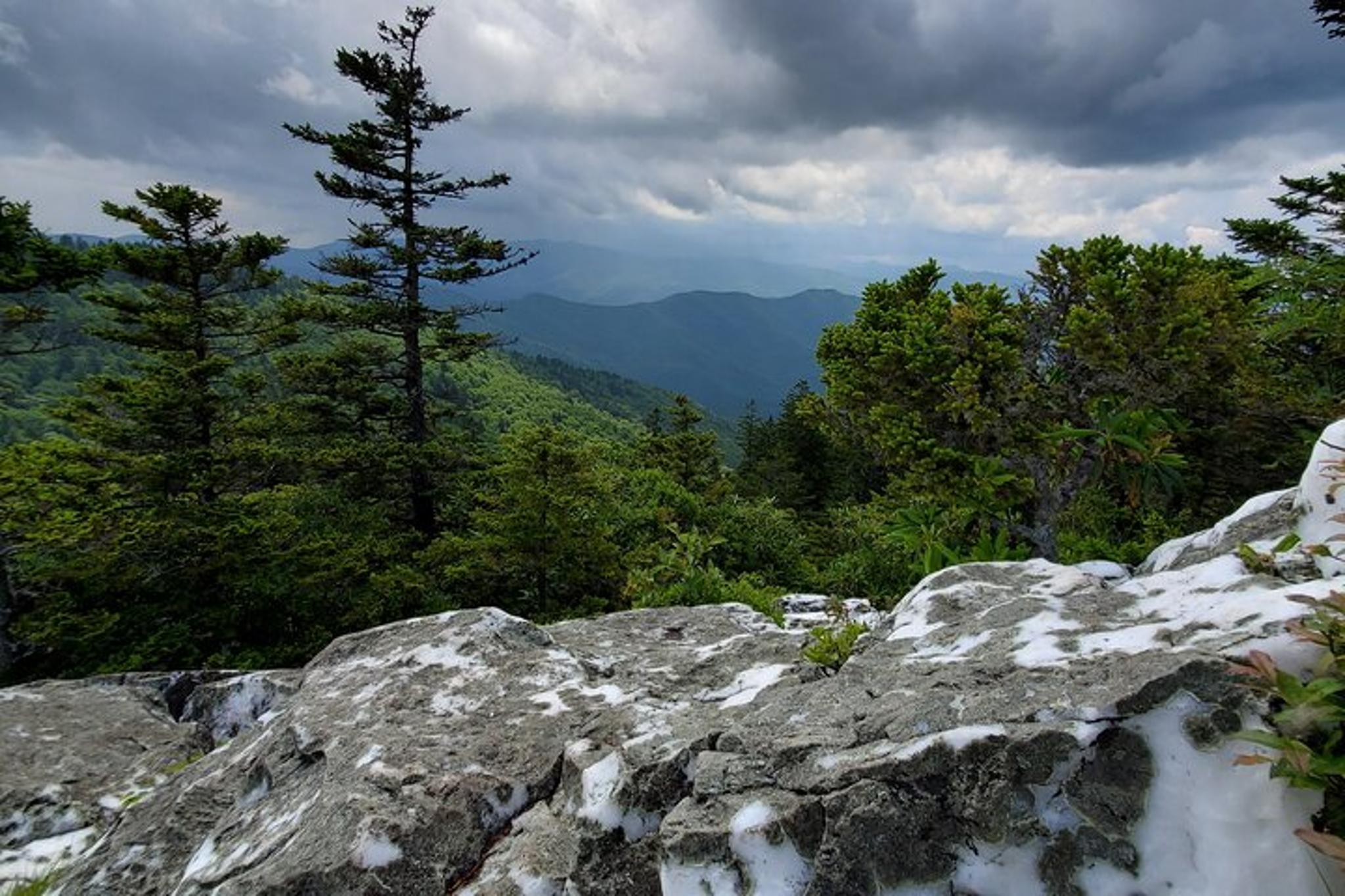 Shining Rock Guided Hike - Image 6