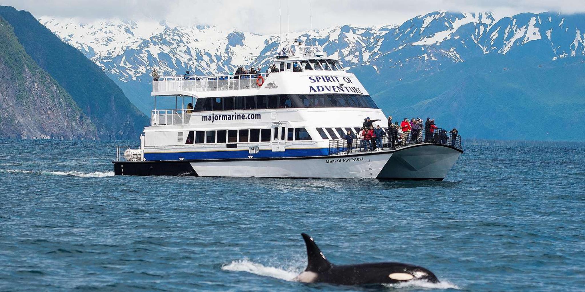 Seward Kenai Fjords National Park Glacier Cruise - Image 2