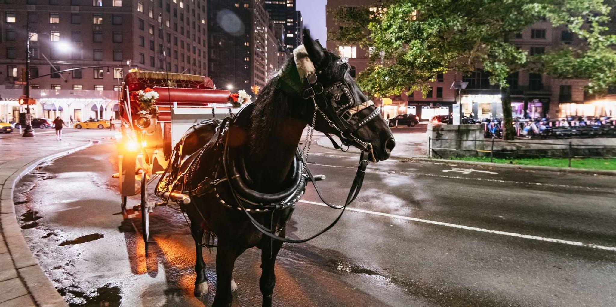 New York City Carriage Ride through Central Park, Rockefeller & Times Square - Image 5