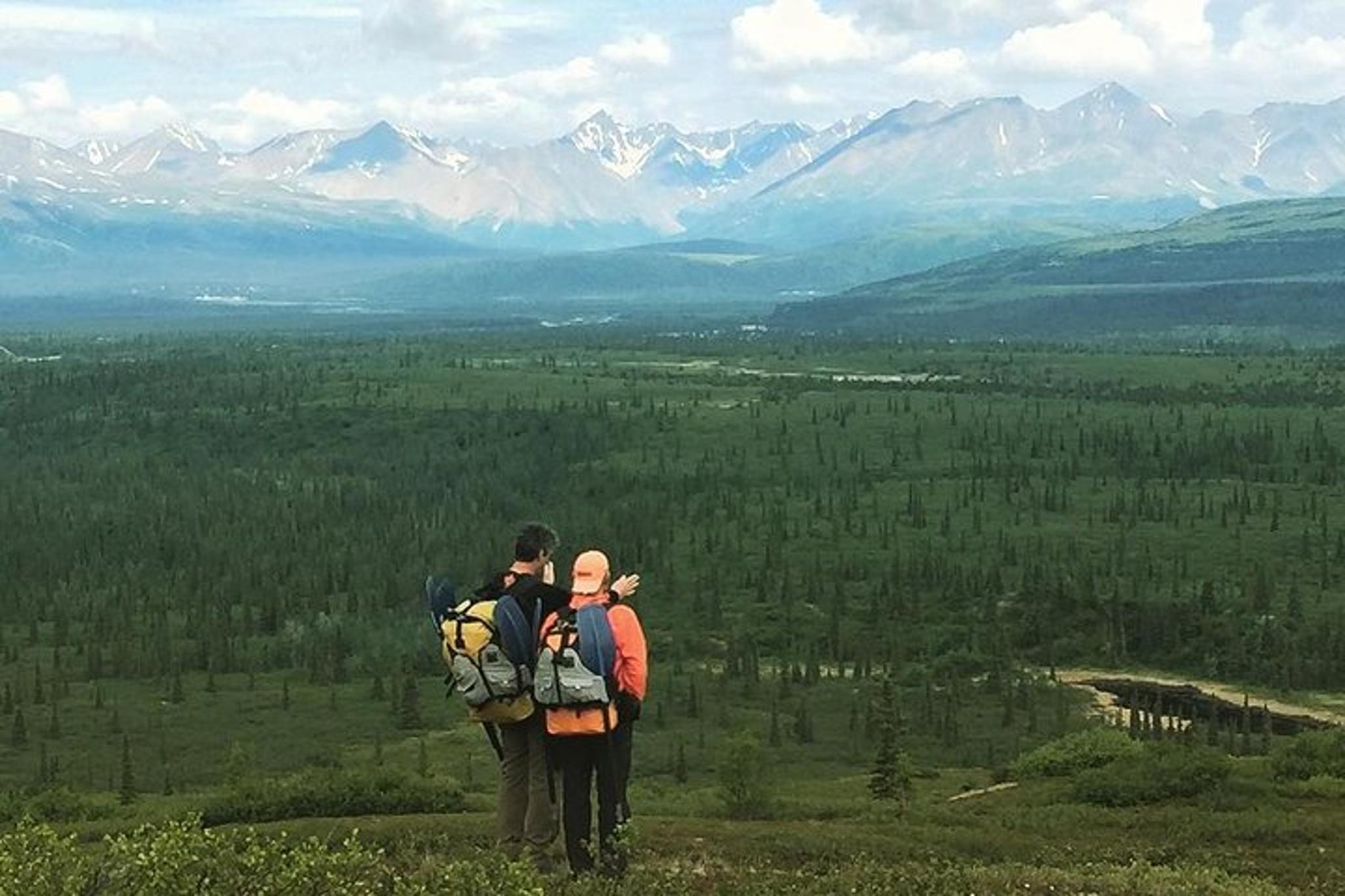 Denali Hiking Tour with Naturalist Guide 5 hr - Image 3