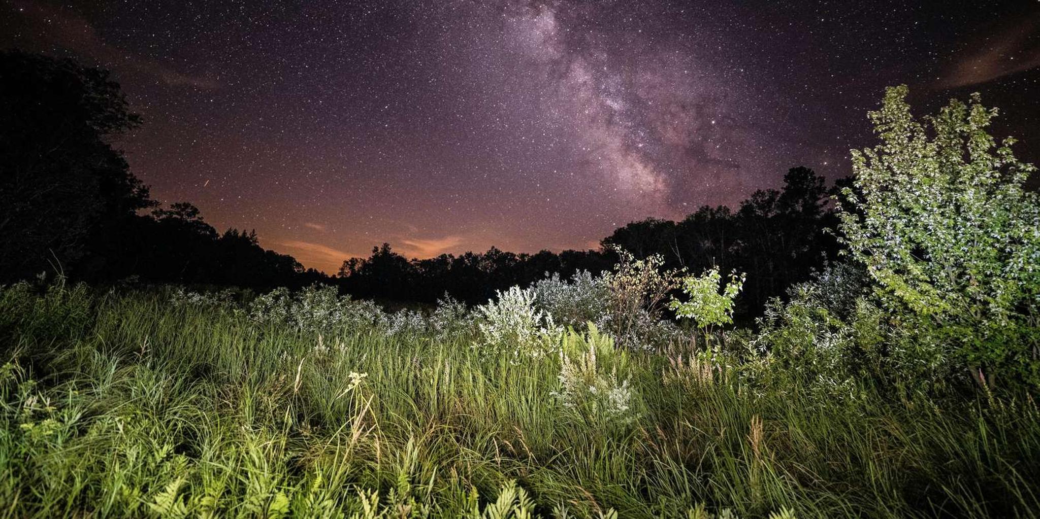 Salt Lake City Antelope Island Dark Sky Tour 4 hr